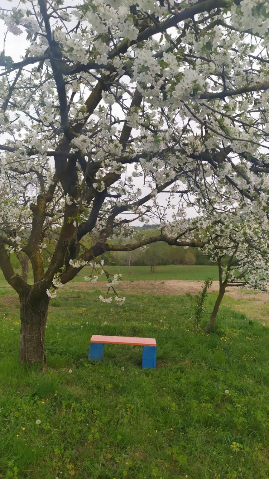 B&B Naturin - Vegan Eco Farm