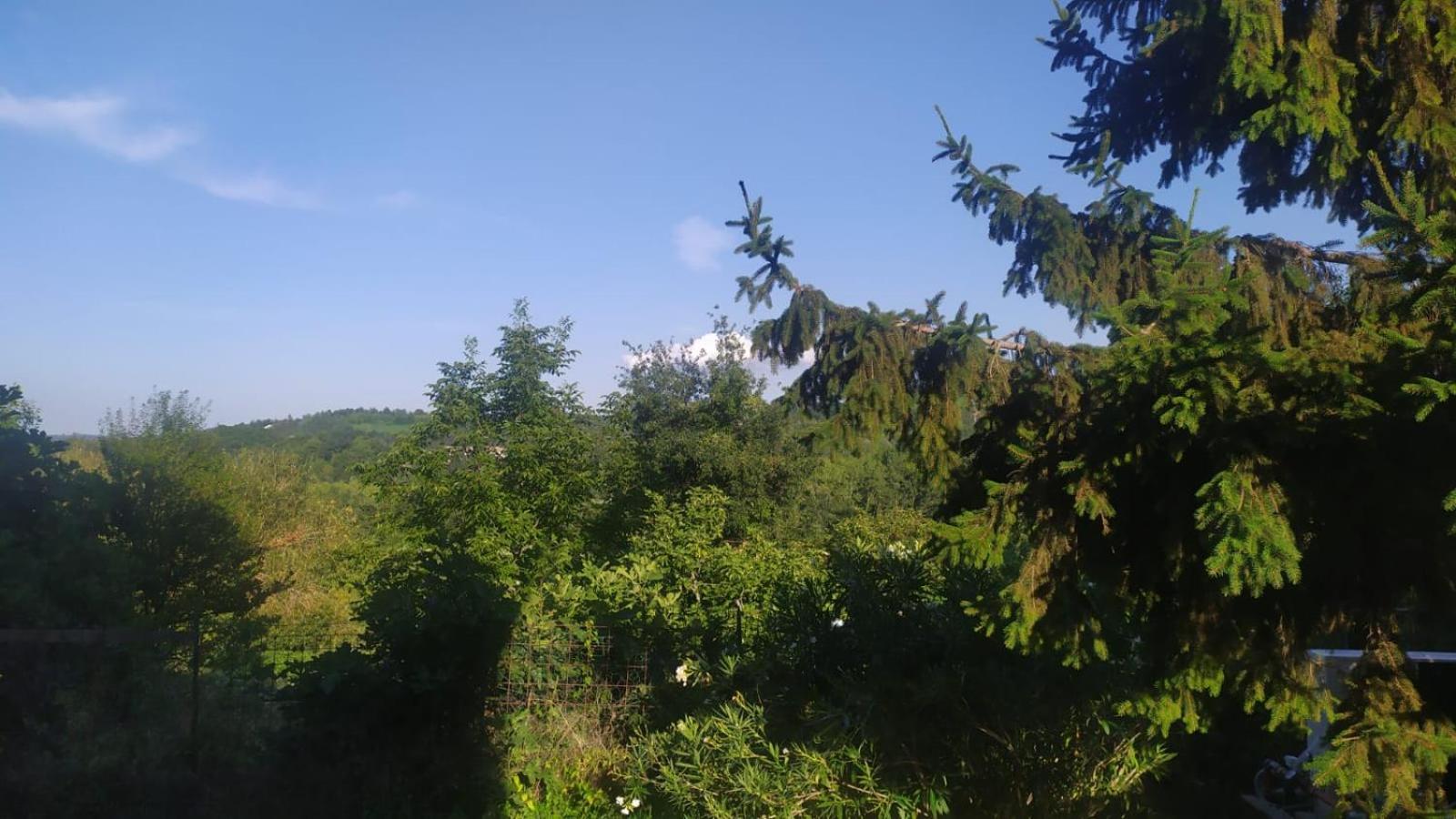 B&B Naturin - Vegan Eco Farm