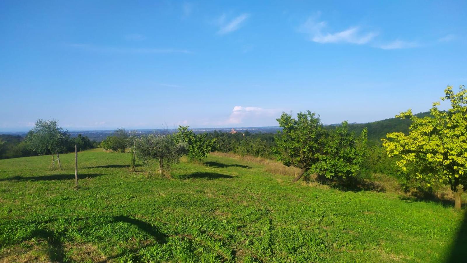 B&B Naturin - Vegan Eco Farm
