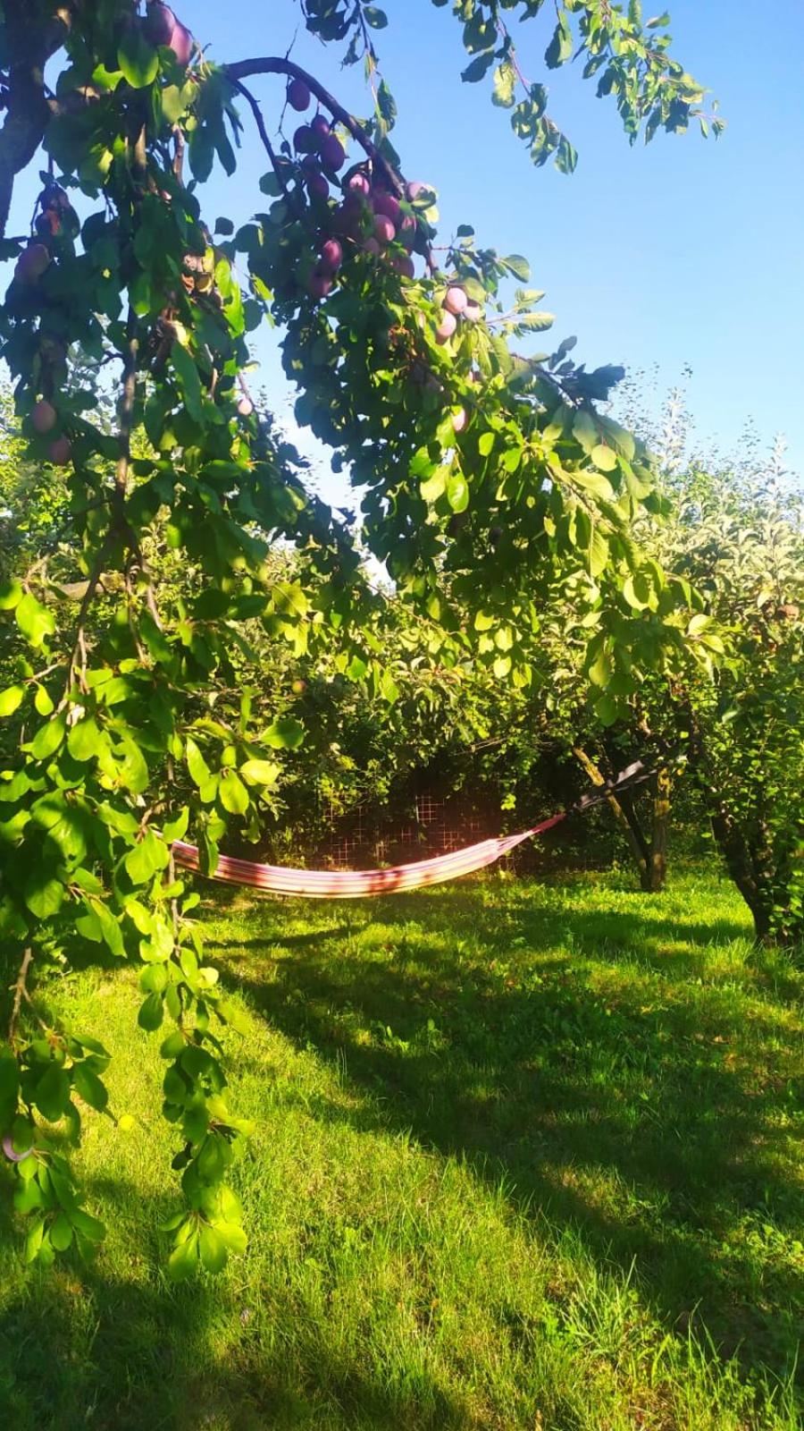 B&B Naturin - Vegan Eco Farm