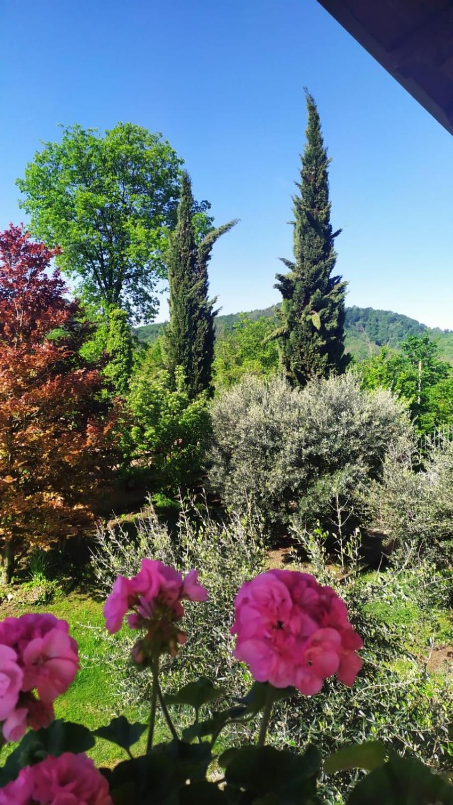 B&B Naturin - Vegan Eco Farm