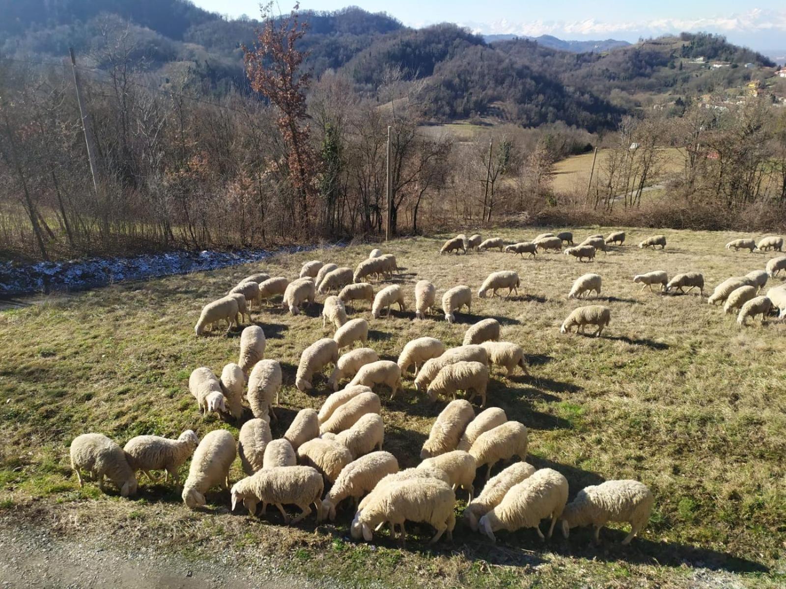 B&B Naturin - Vegan Eco Farm