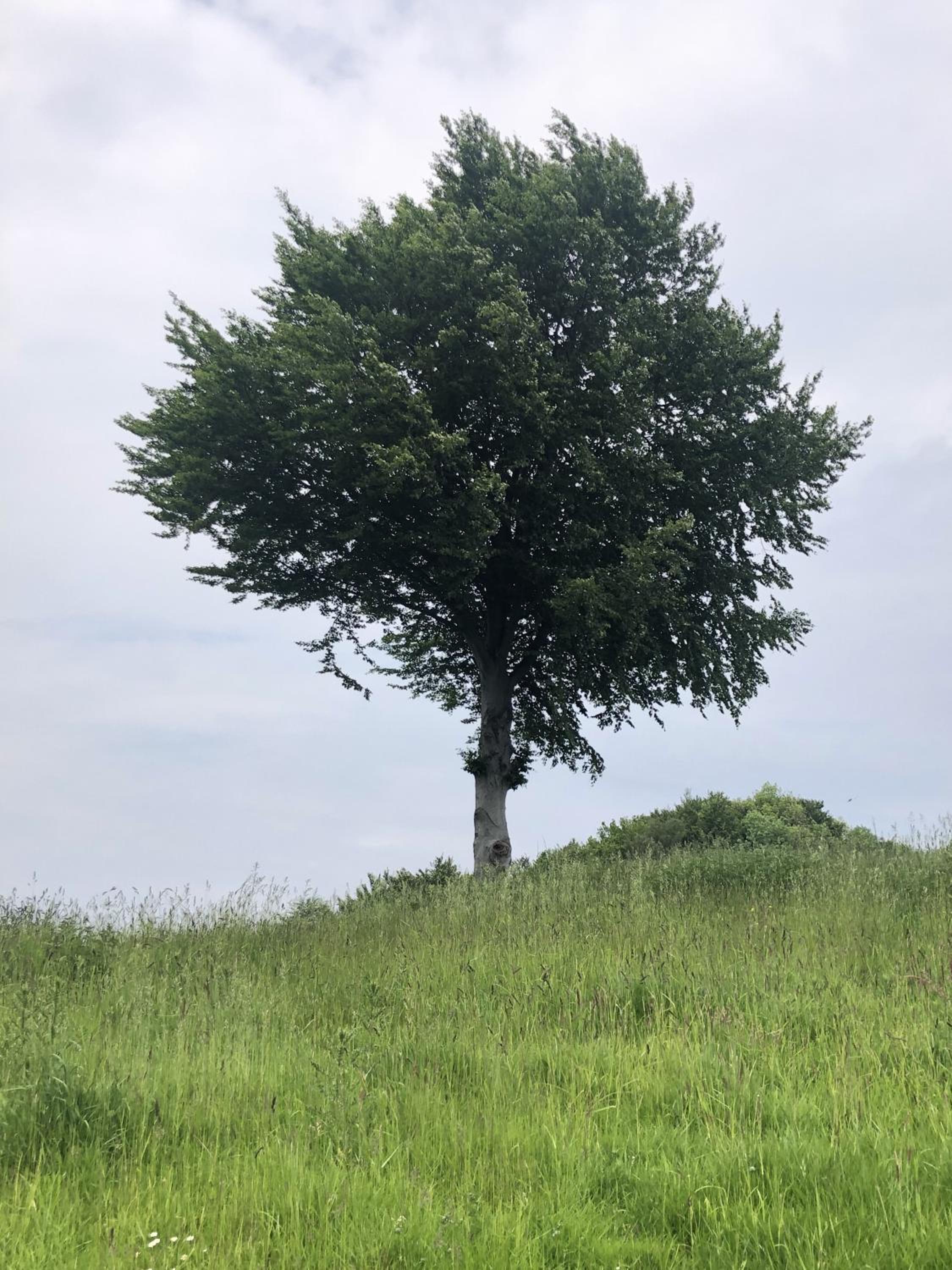 Am Anker en Langballig — other