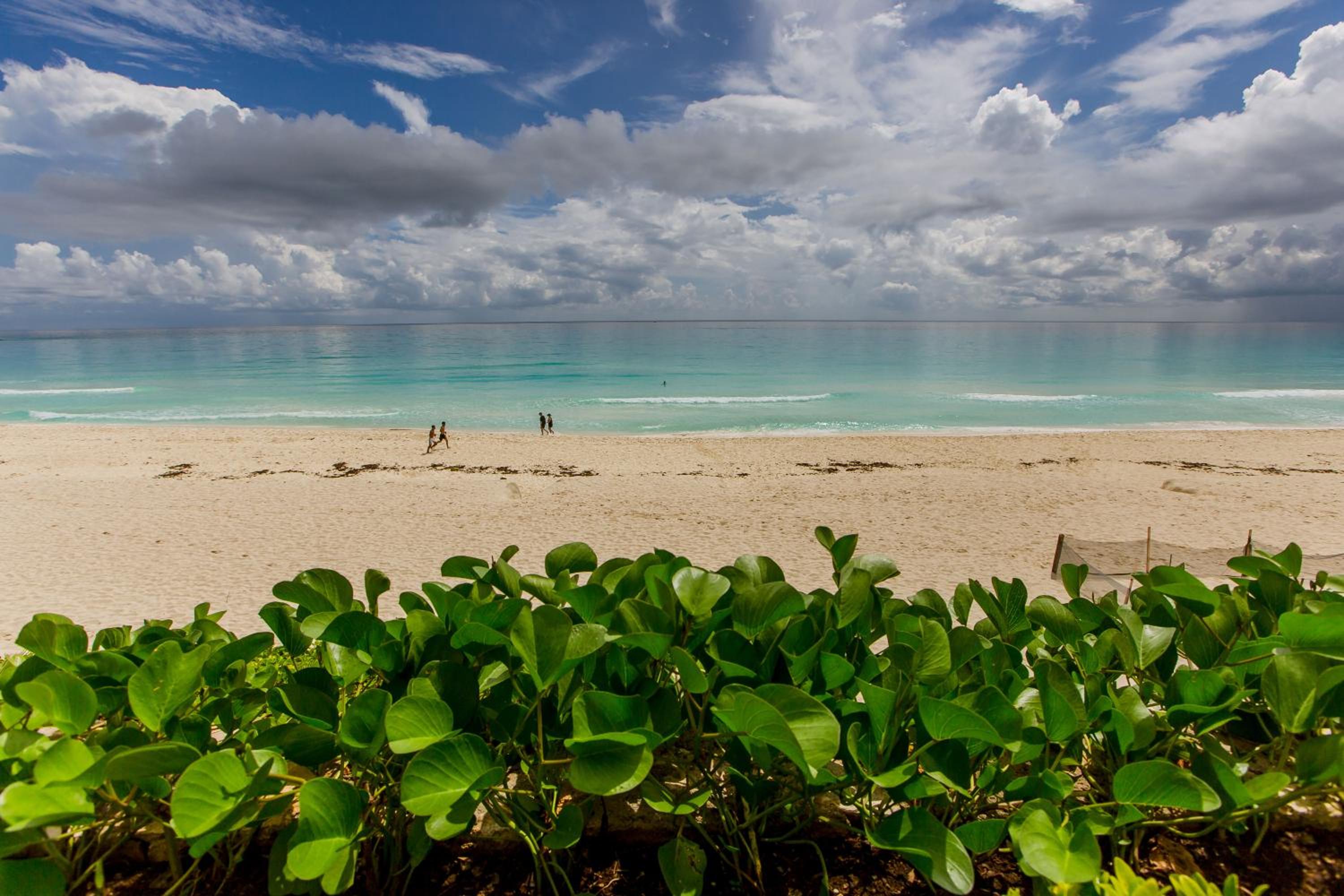 Condominio Girasol OceanView
