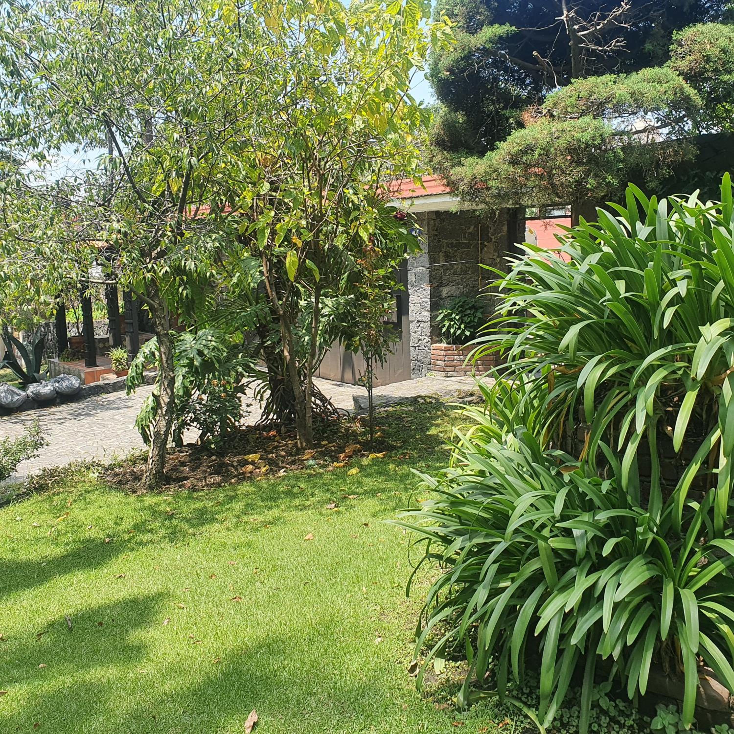 cozy mini loft near COLMEX FLACSO photo 5