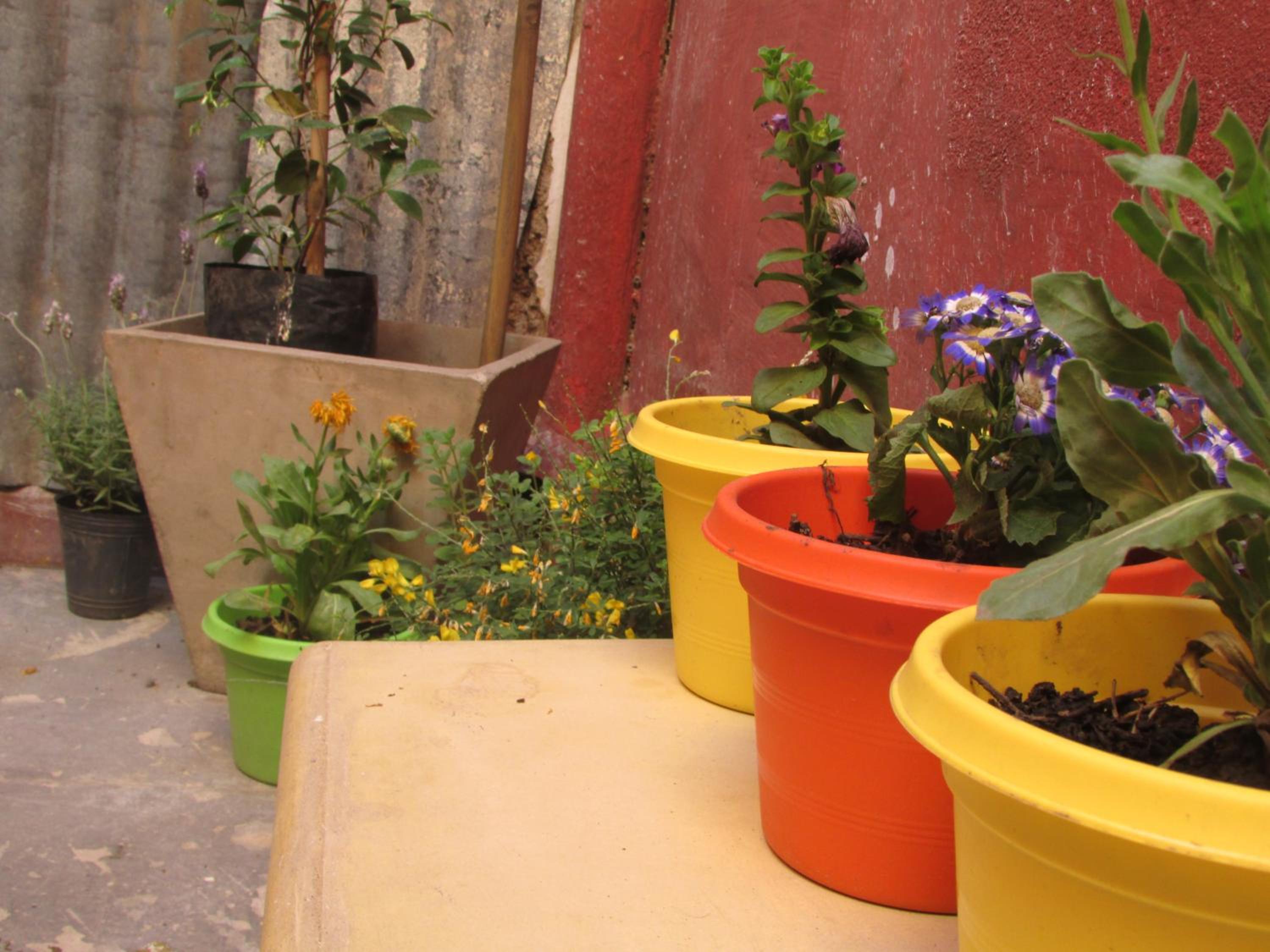 CASA ARTIGAS Hostel