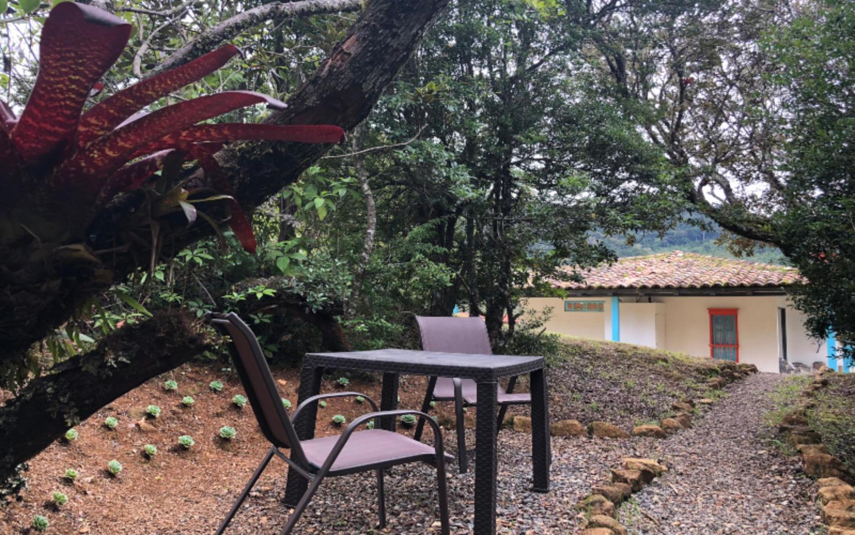 Dantica Cloud Forest Lodge