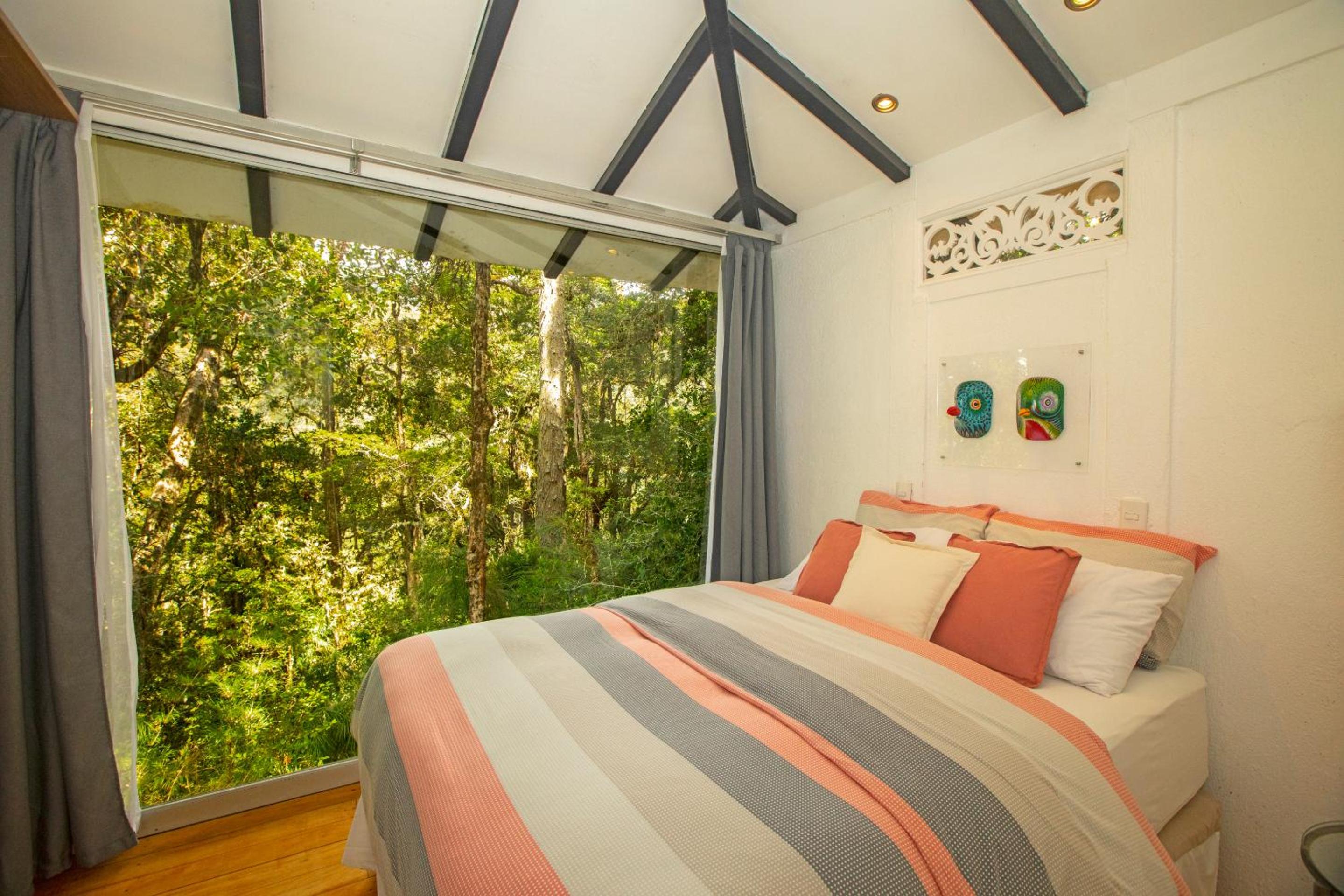 Dantica Cloud Forest Lodge