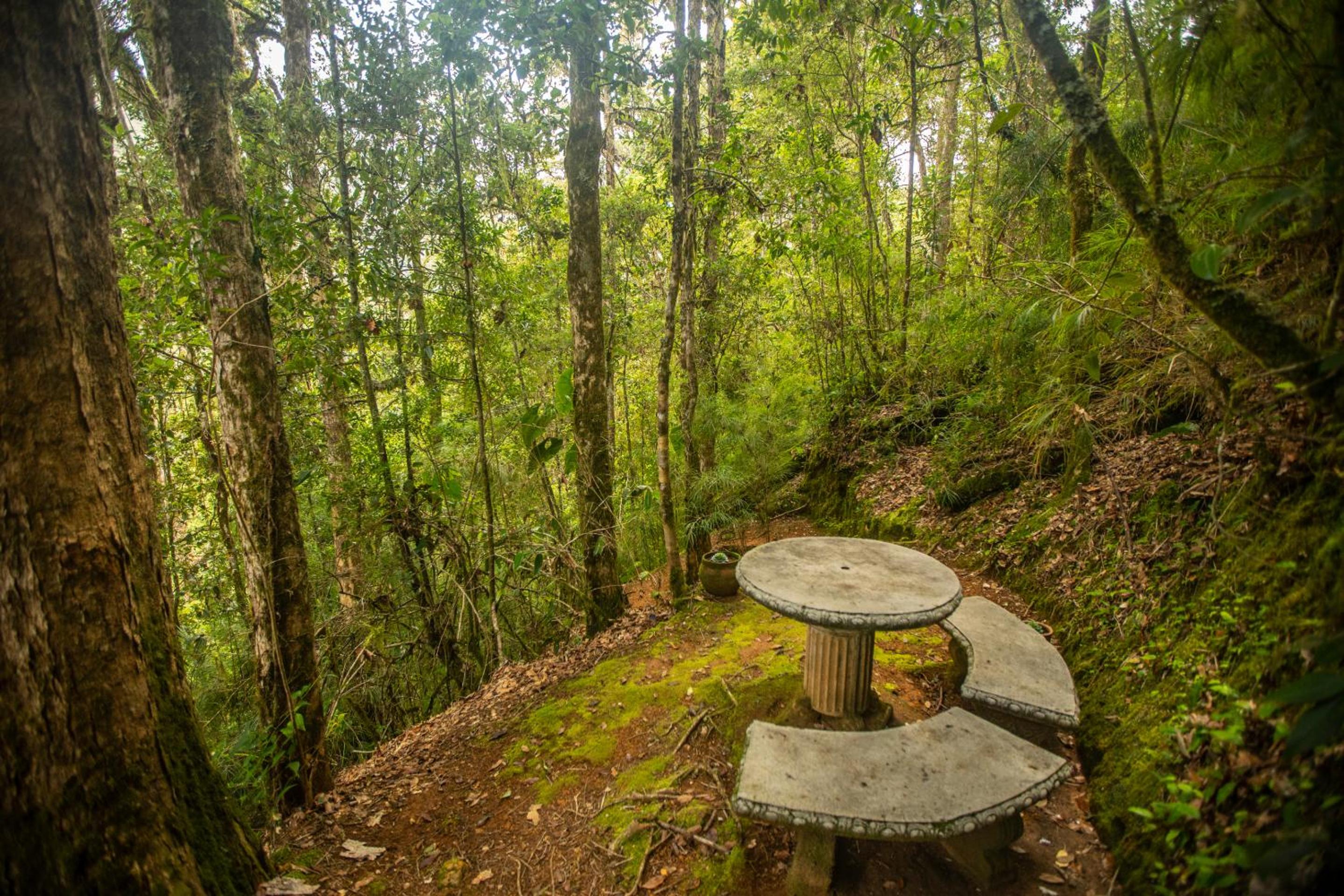 Dantica Cloud Forest Lodge