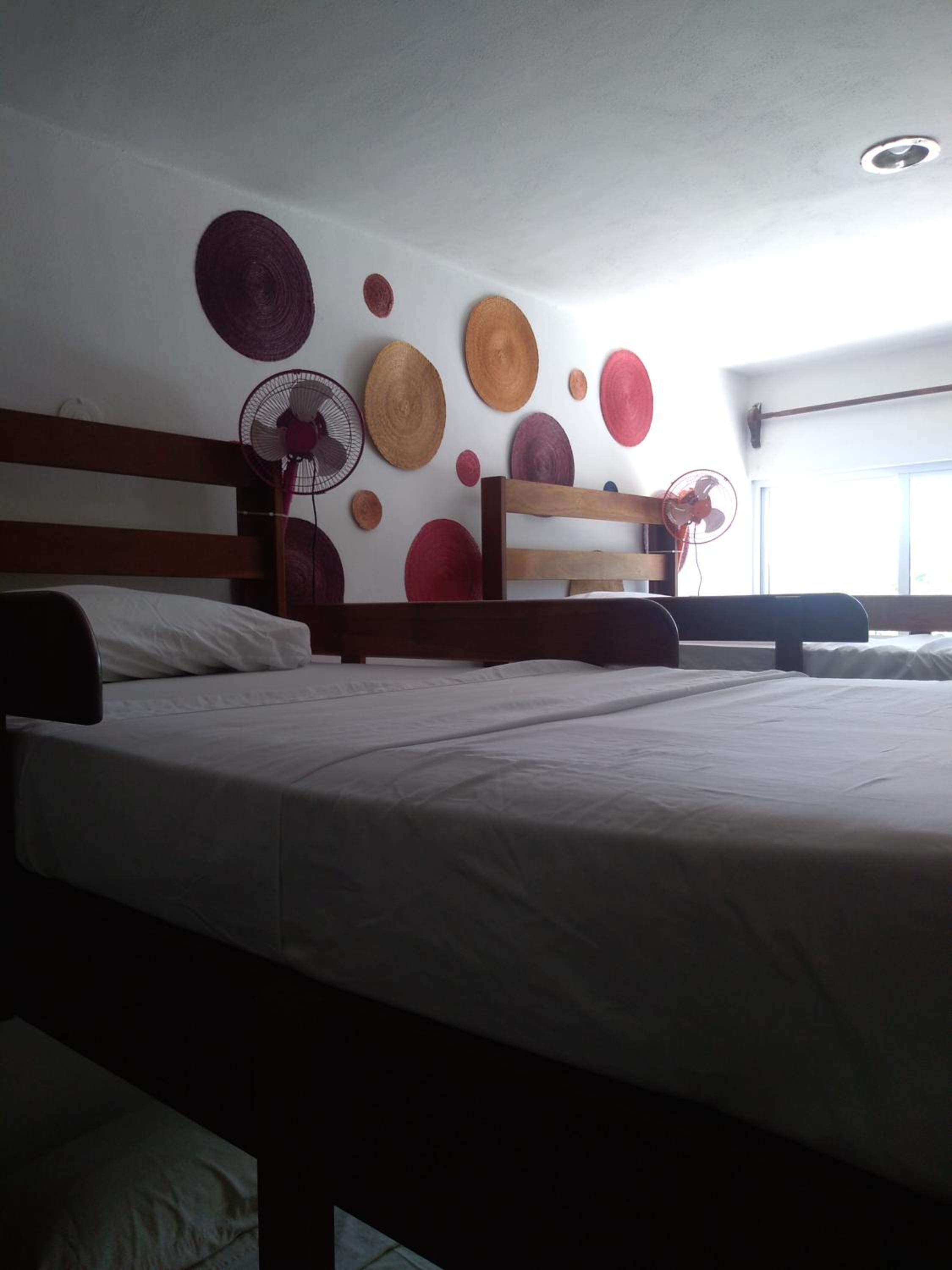 Hostal Jardin view 5