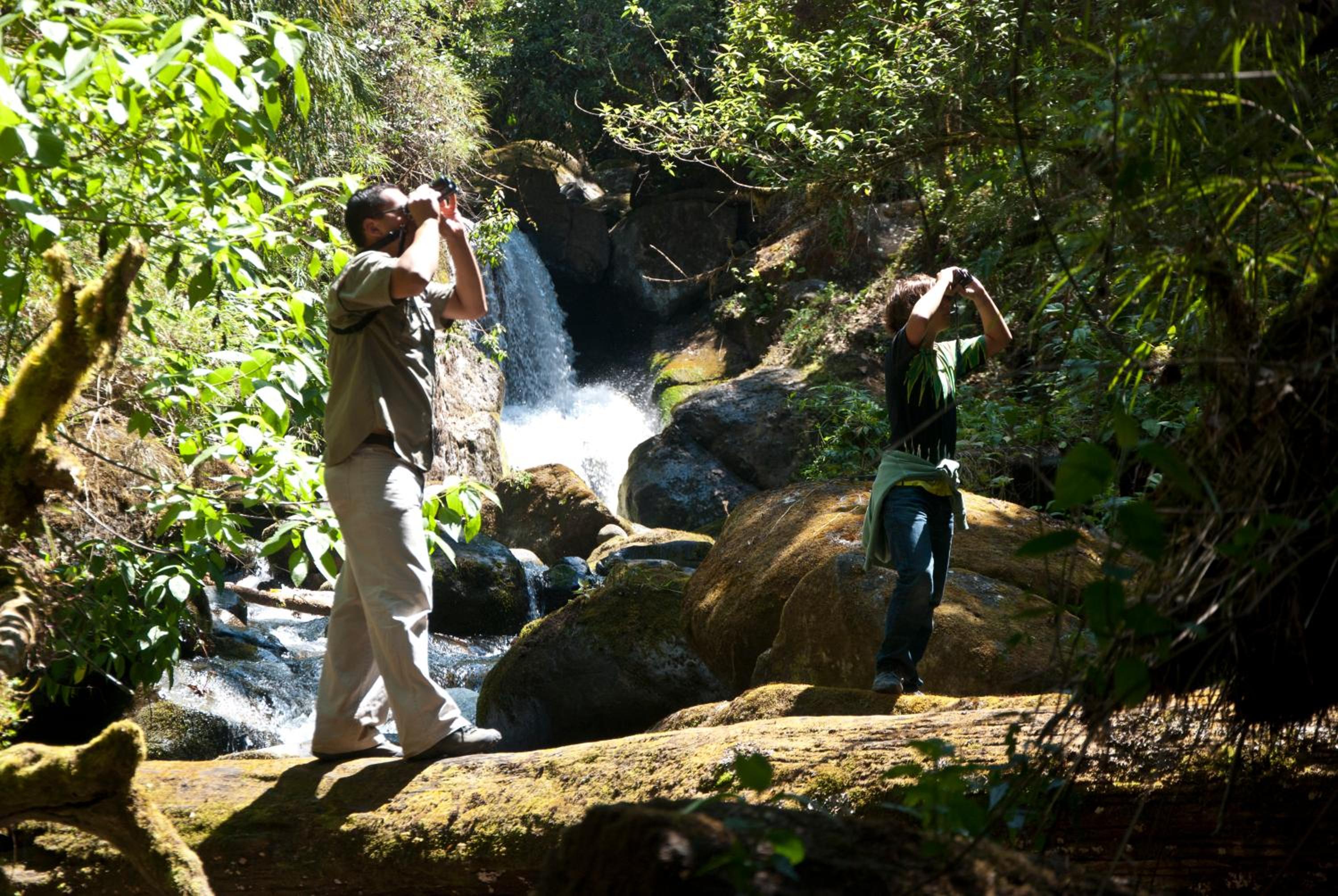 Dantica Cloud Forest Lodge
