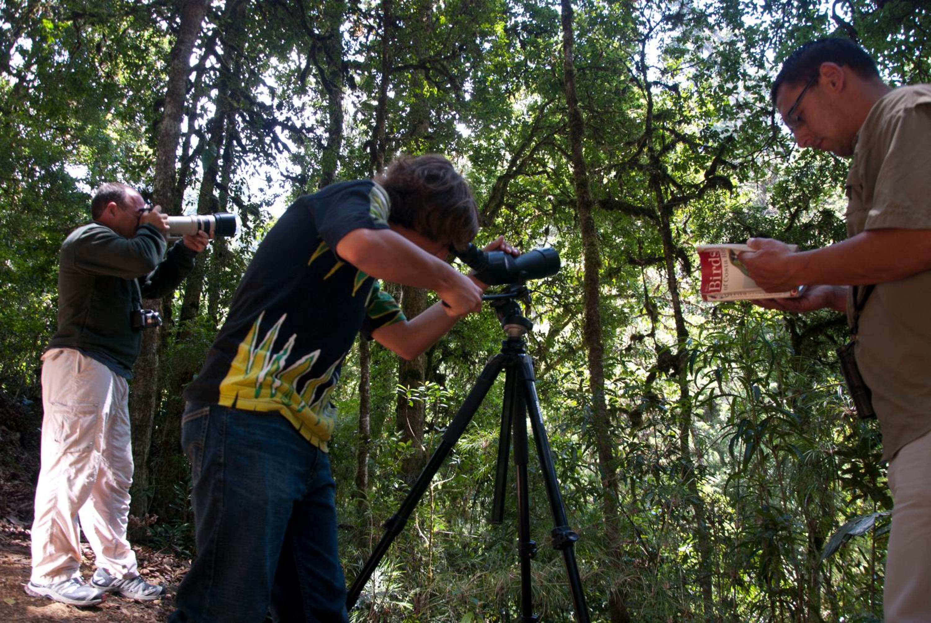 Dantica Cloud Forest Lodge