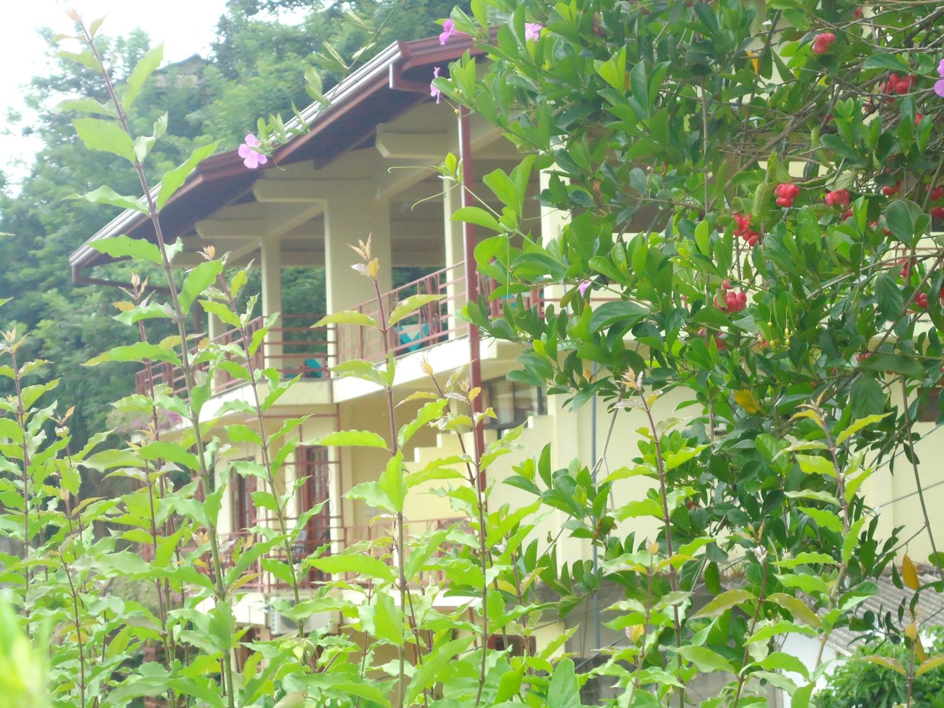 Nature Walk Resort