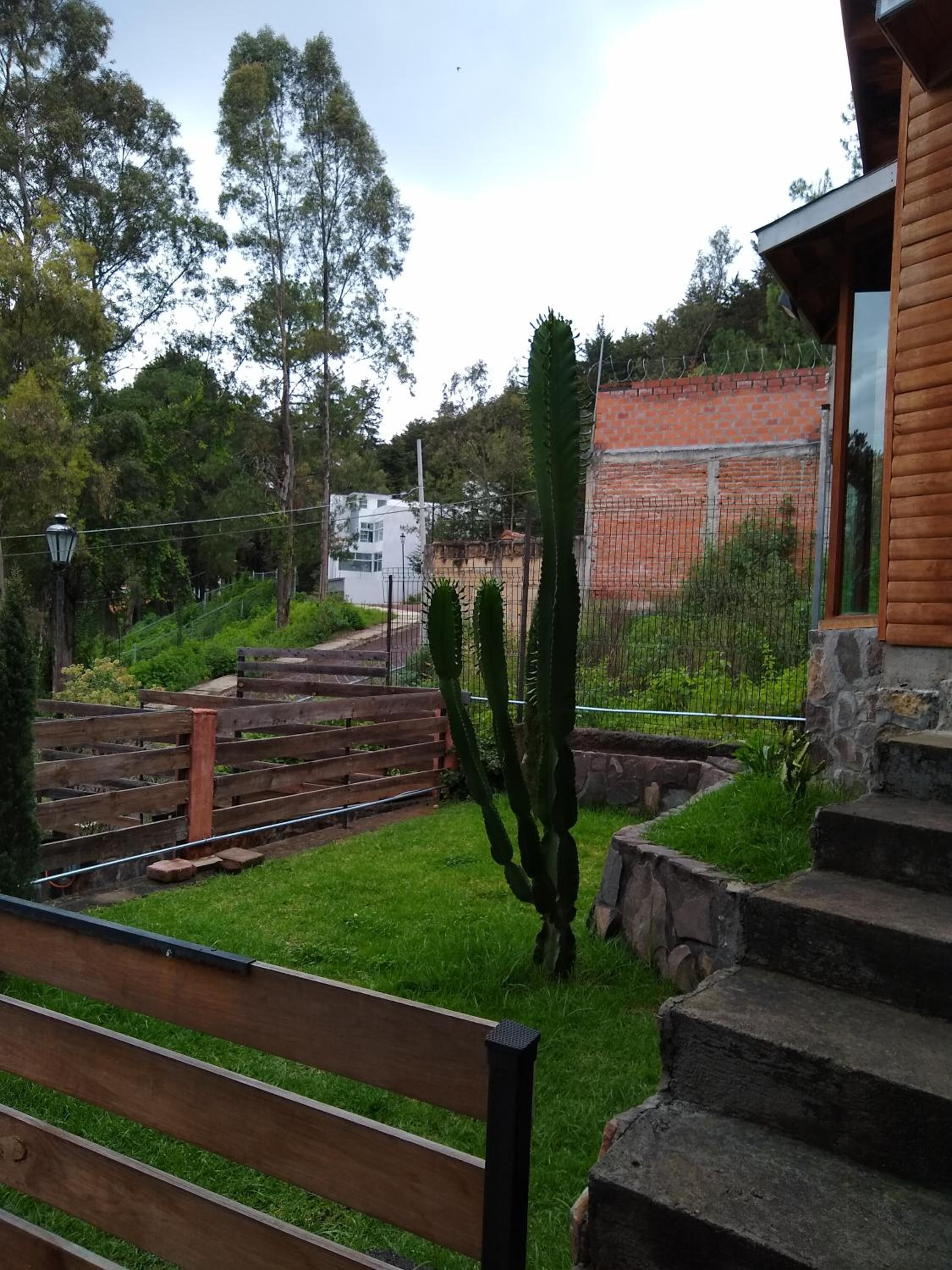 Photo 22