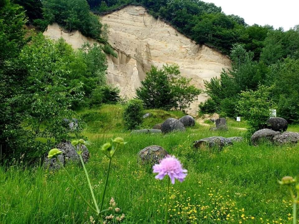 Casuta din Gradina view 5