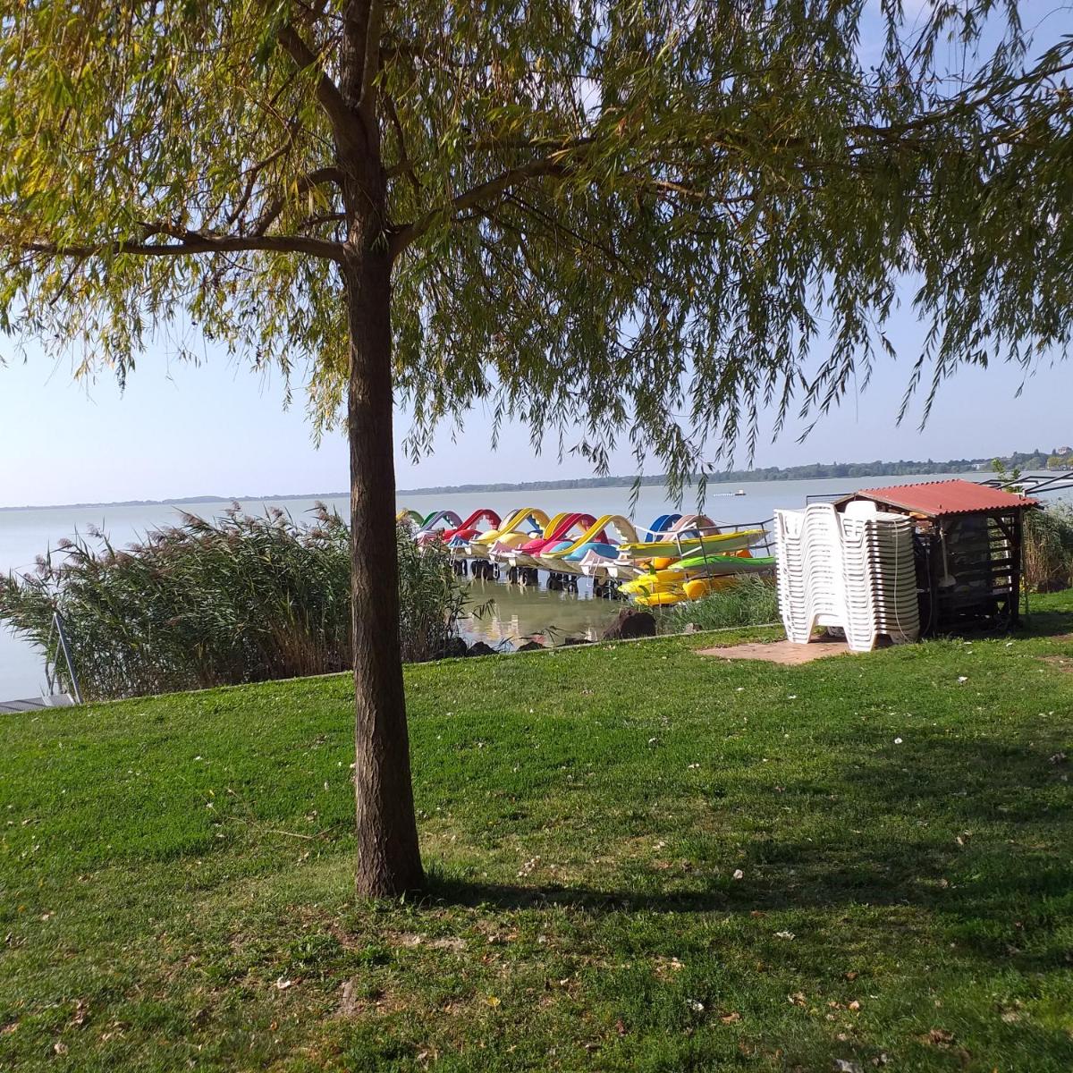 Photo 21