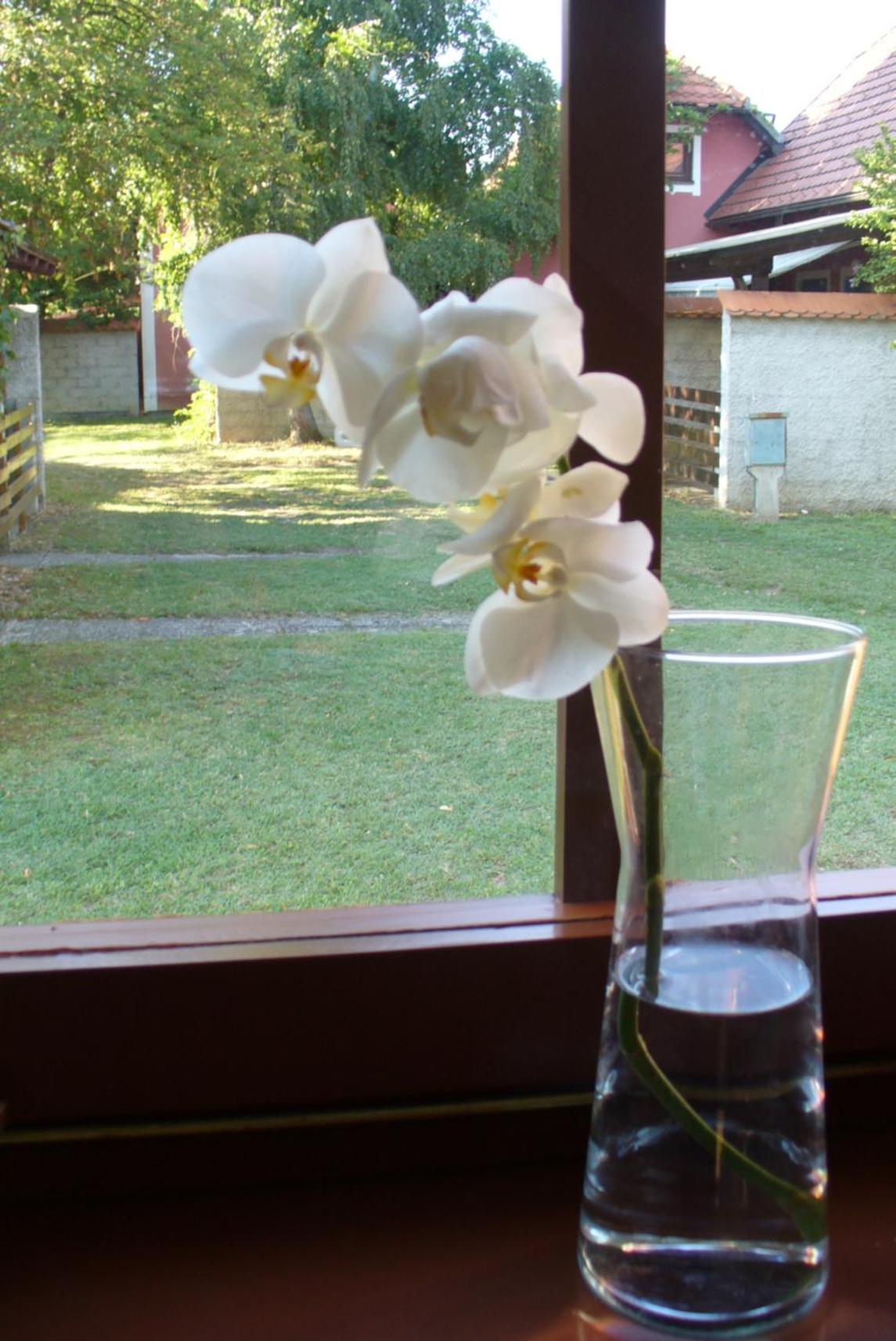 Čebelica, apartma 101, Terme Čatež view 5