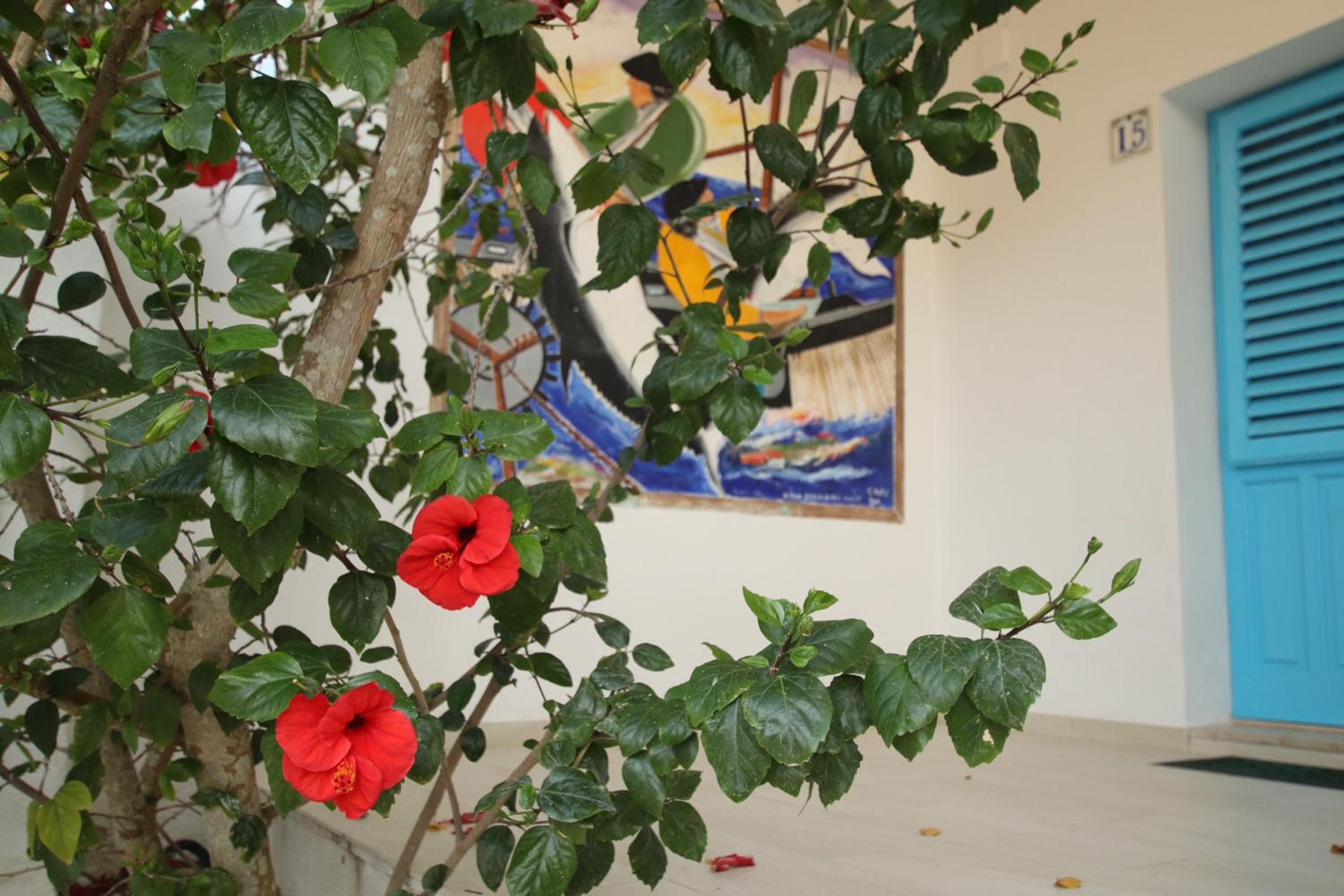 Photo 45