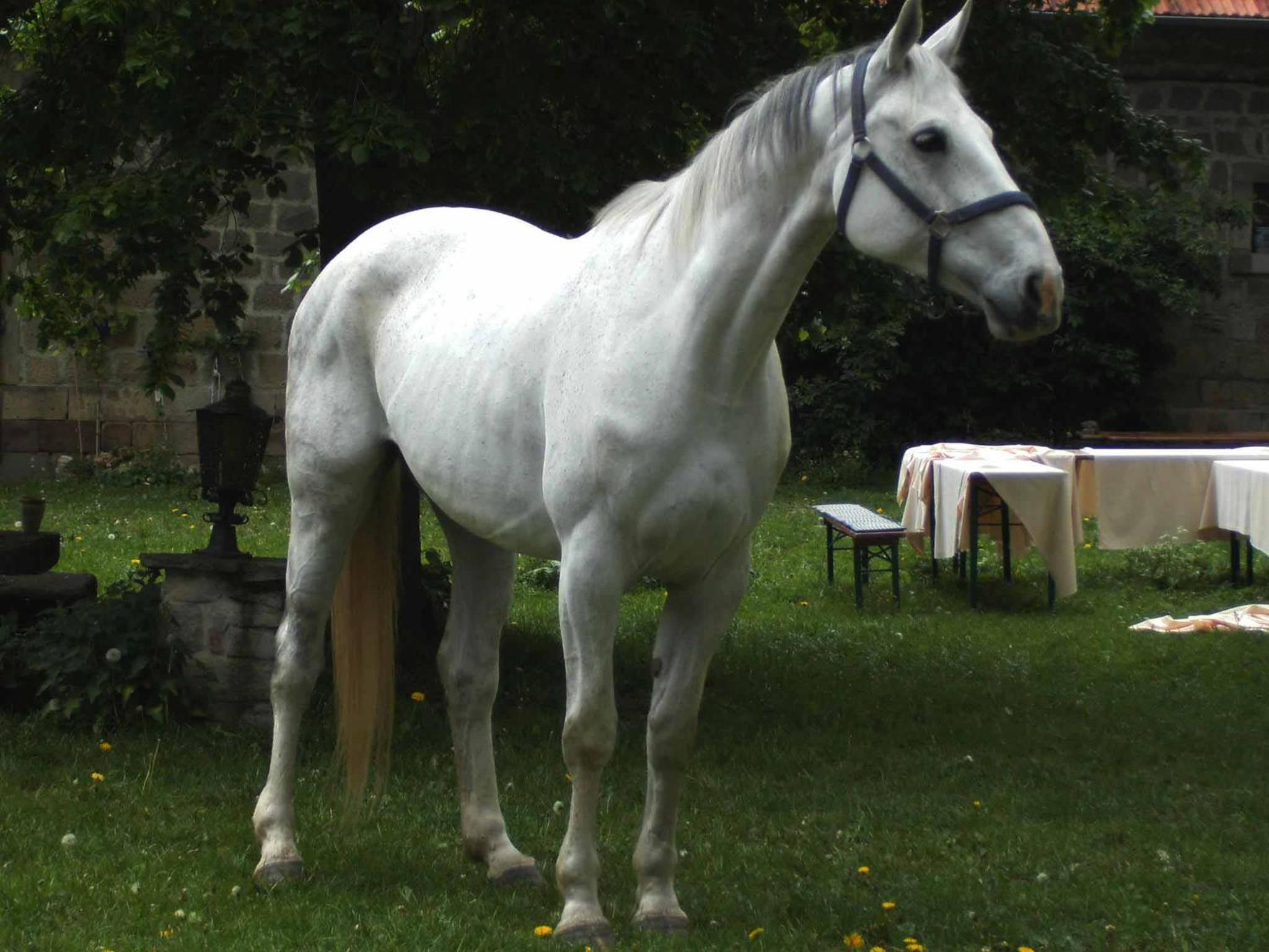 Hofgut Schackau