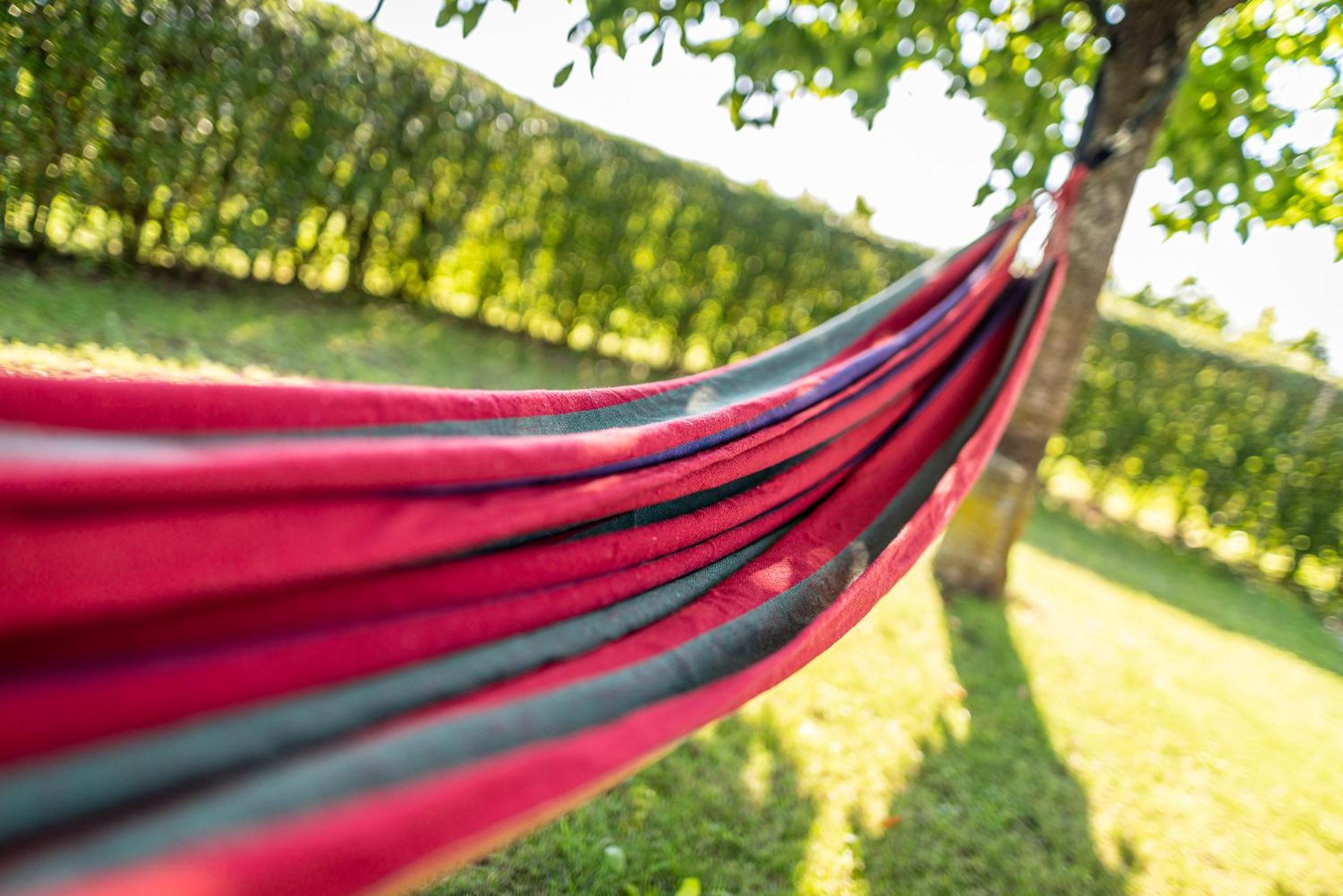 Kranach 5 - Wohnen beim Wein