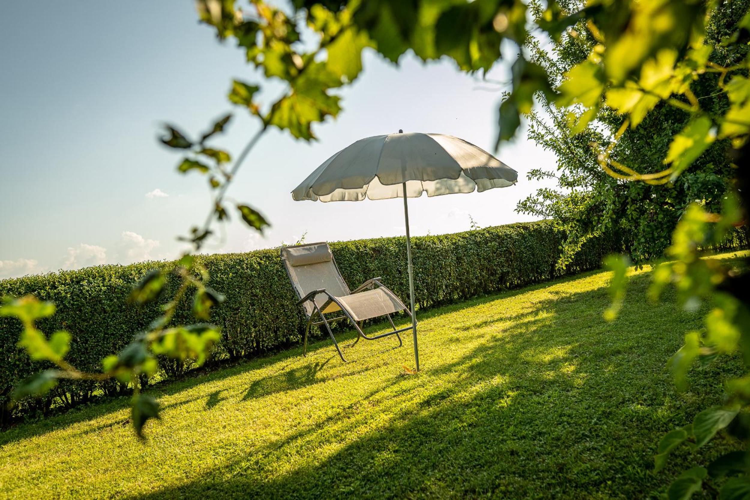 Kranach 5 - Wohnen beim Wein