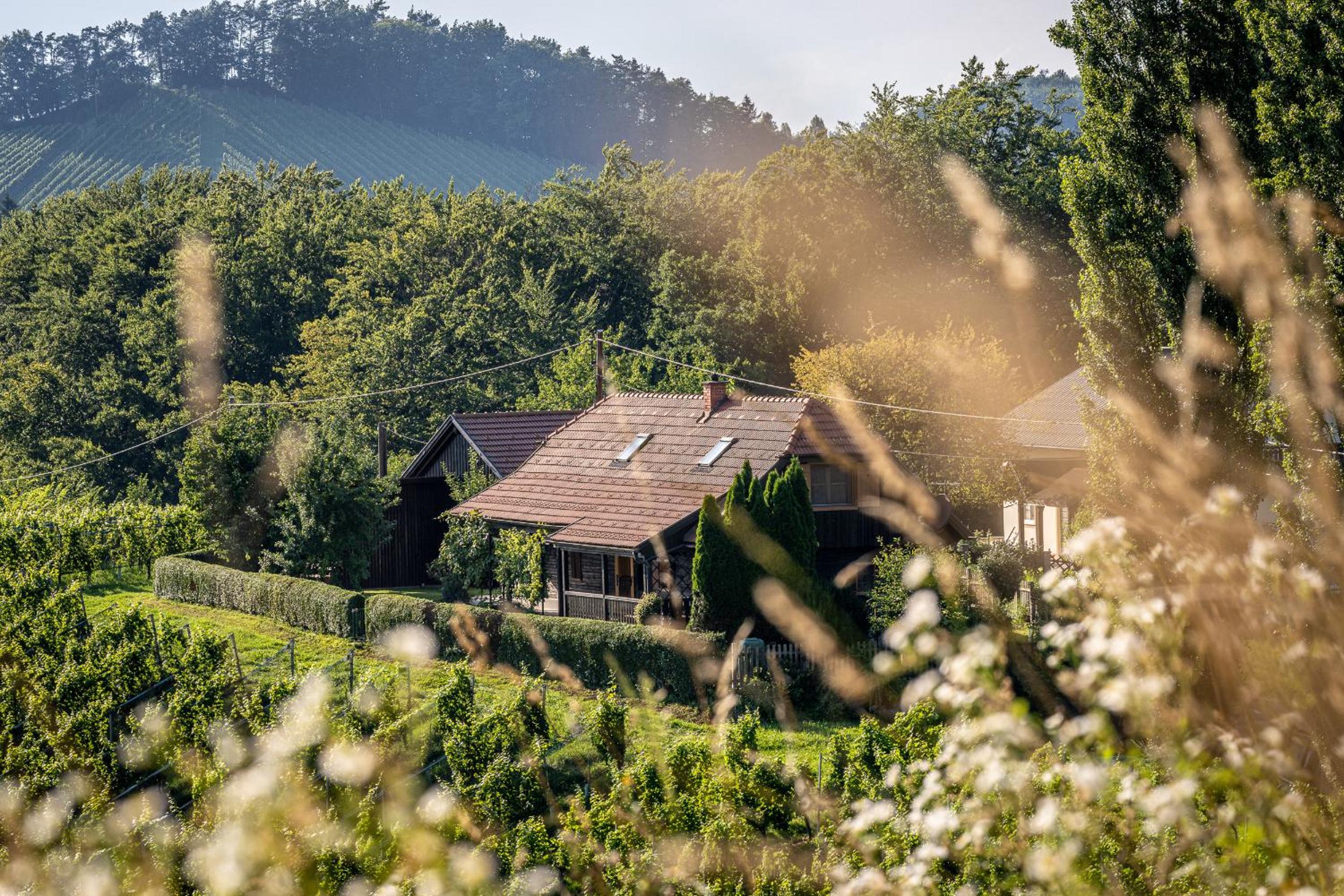 Kranach 5 - Wohnen beim Wein
