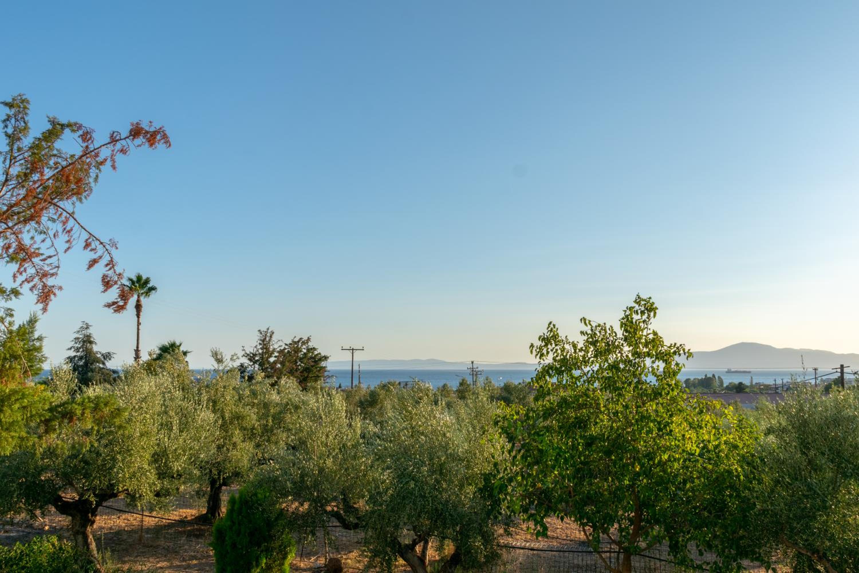 kostas house