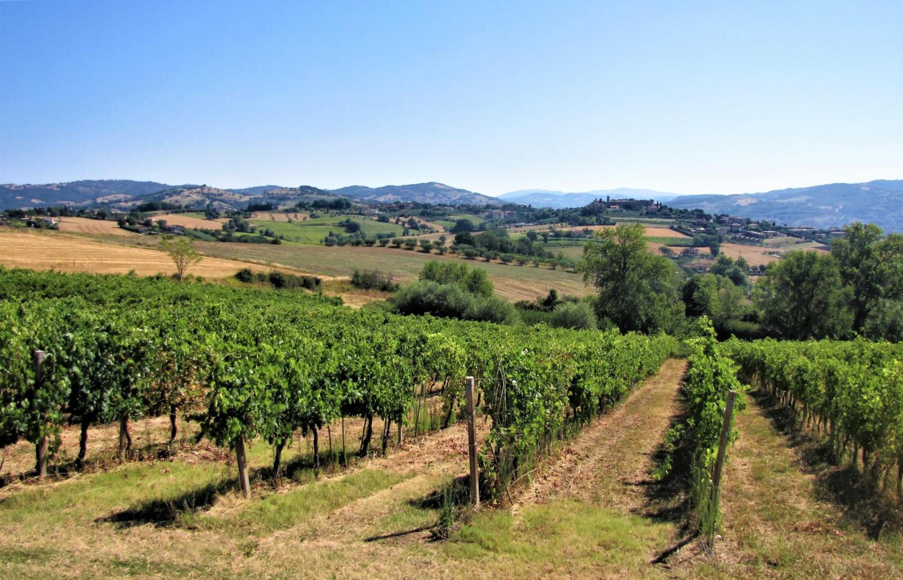 Casa con vista fantastica view 5