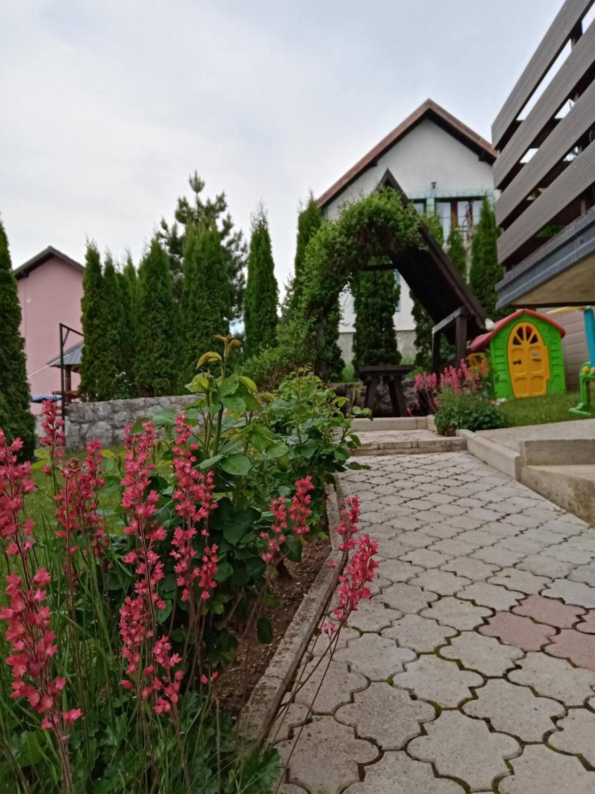 Photo 23