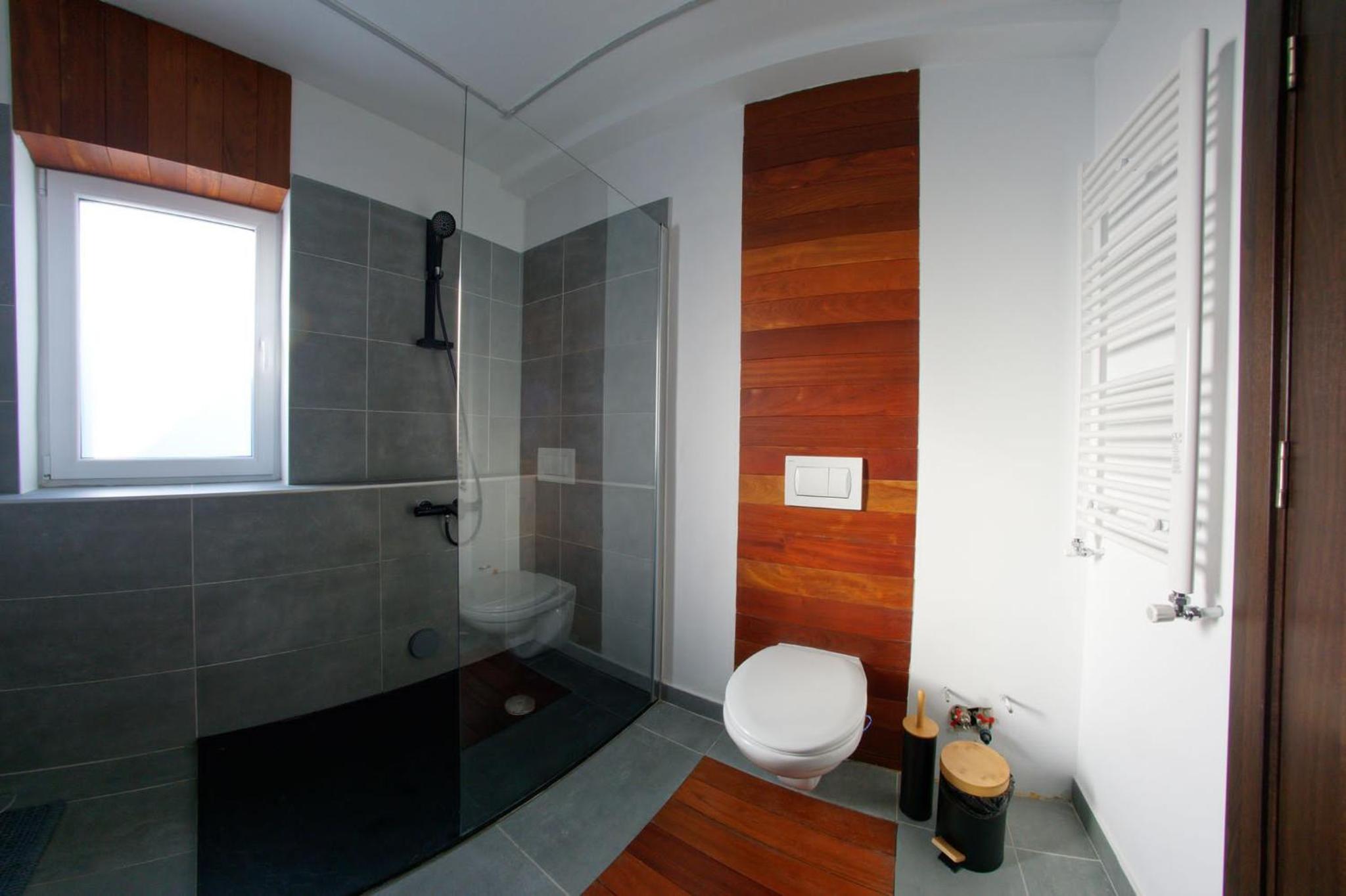 Cabana Noua view 4