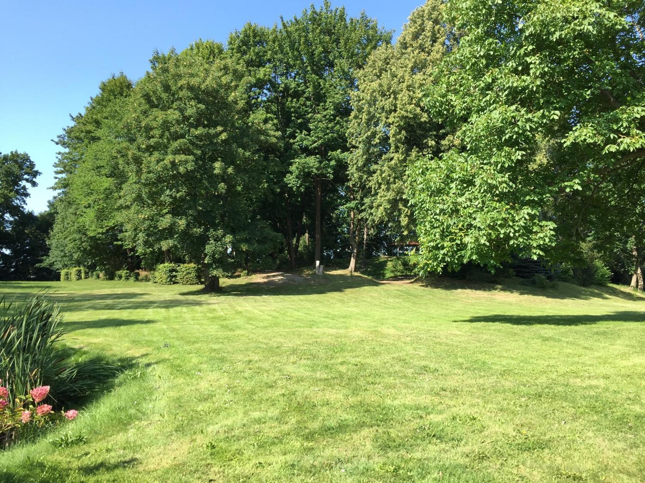 Parkblick Grüner Salon view 5