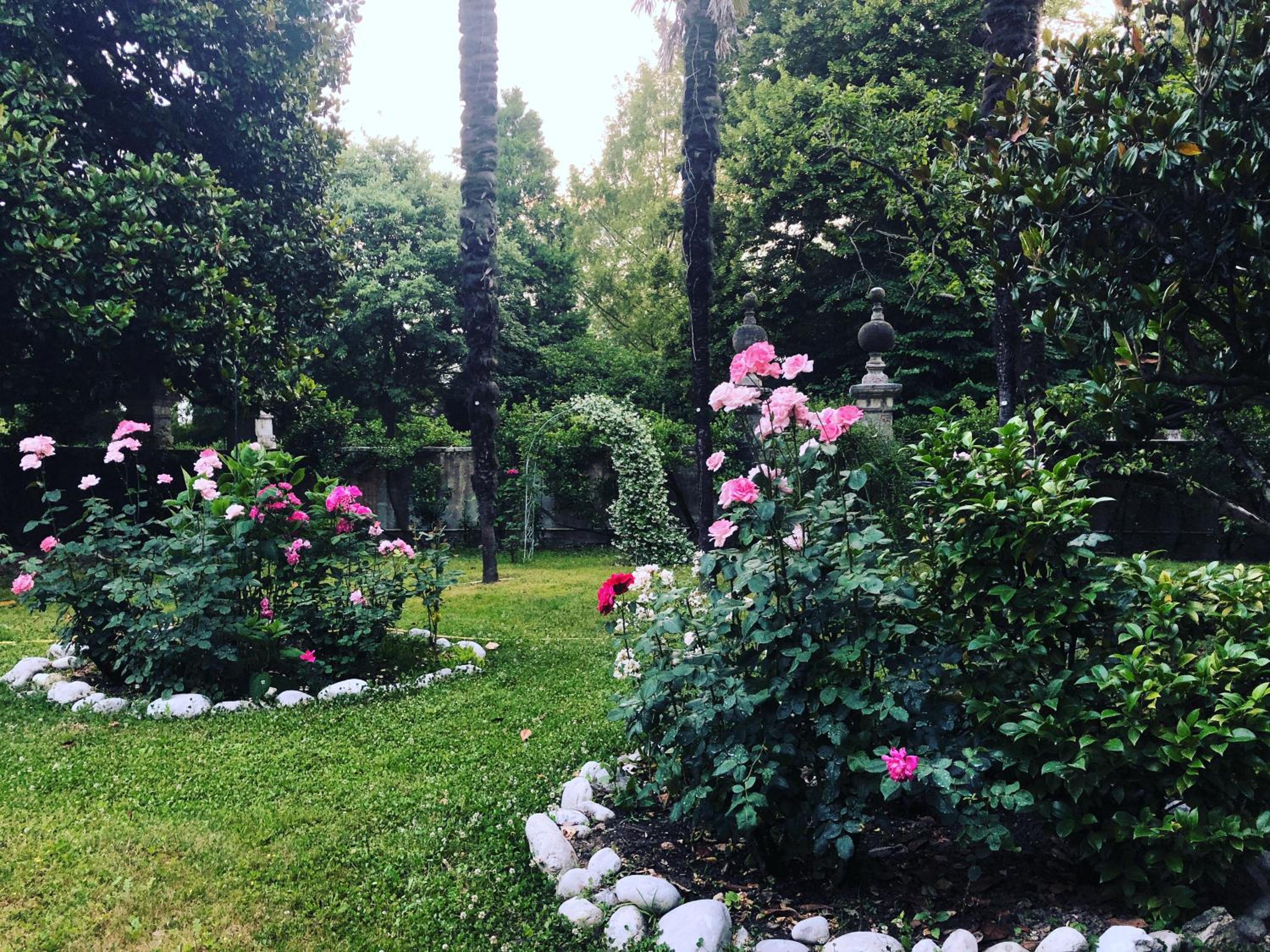 Photo 56