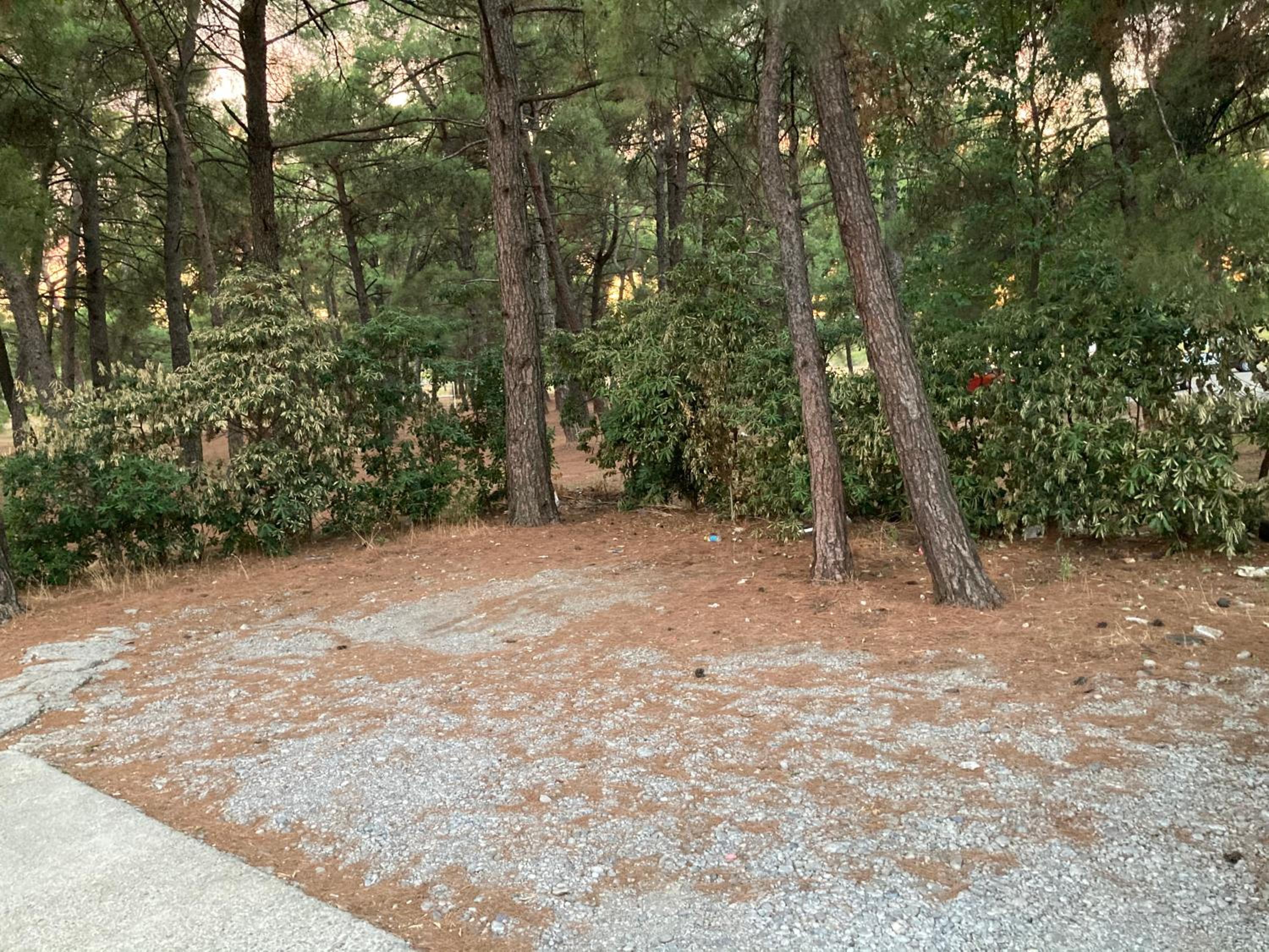 Photo 31
