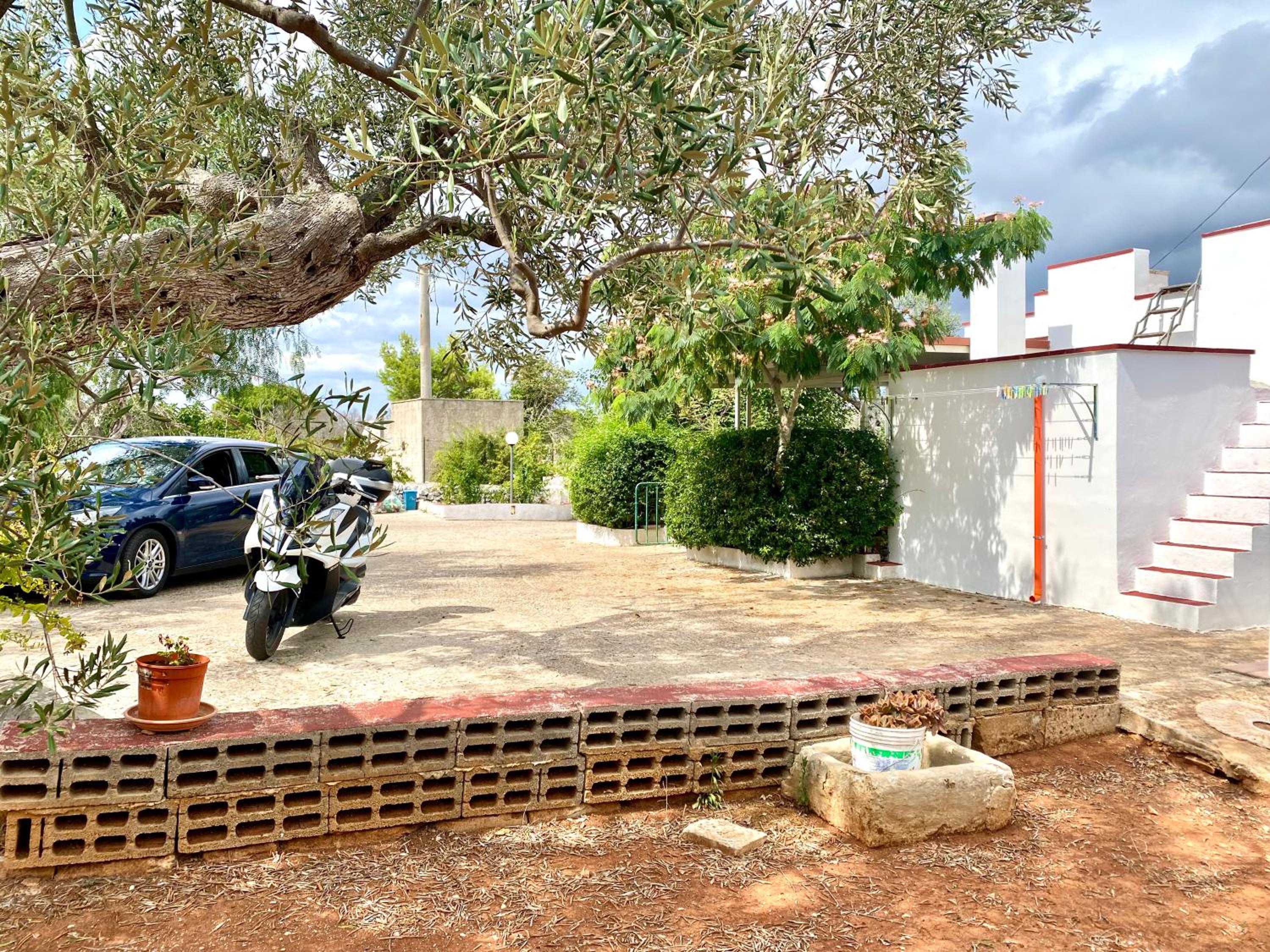 Photo 24