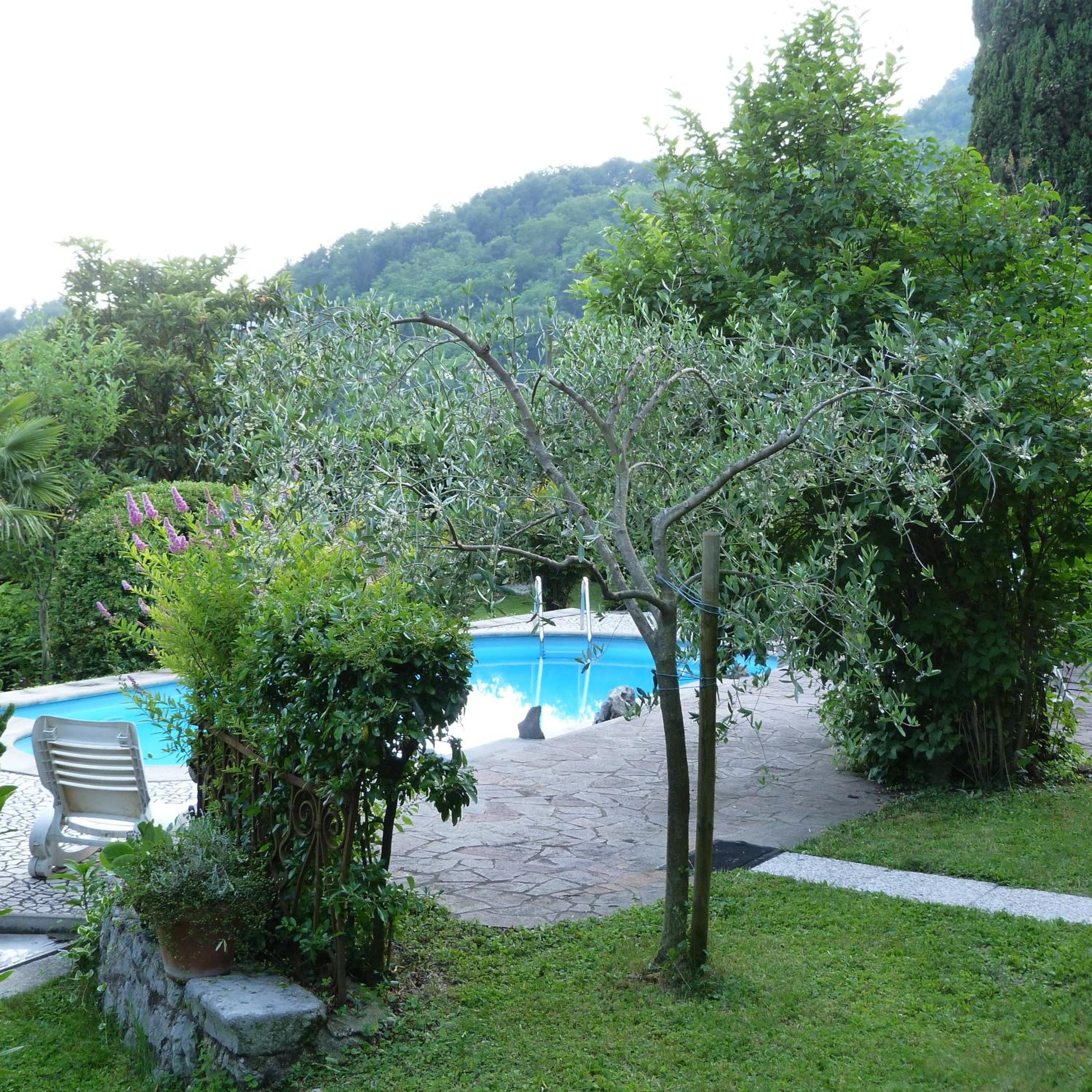 Photo 41