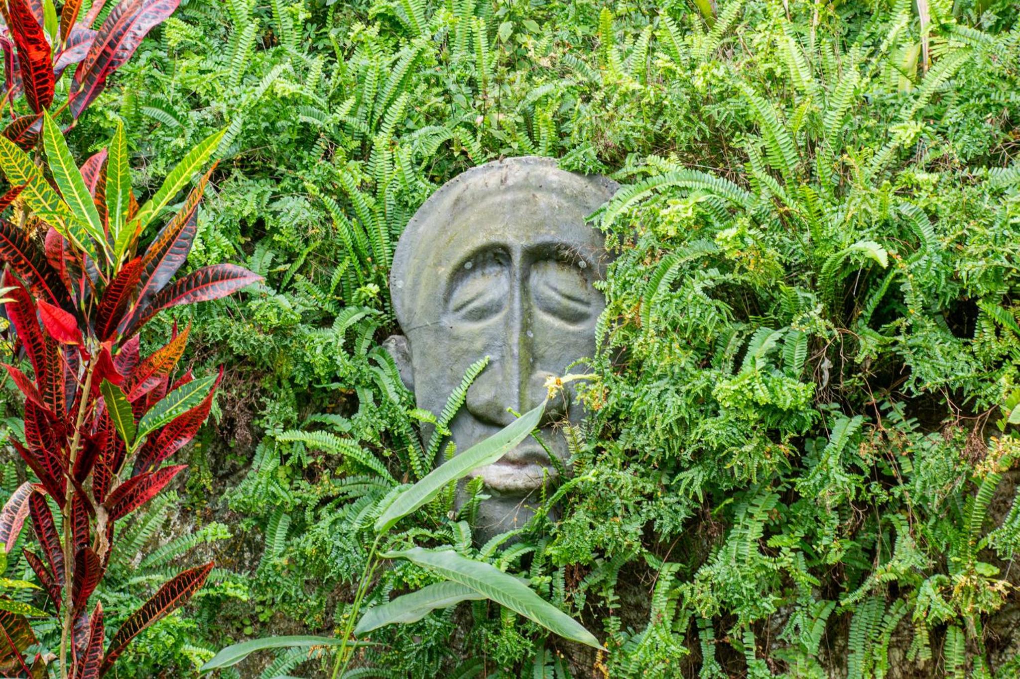 Photo 43