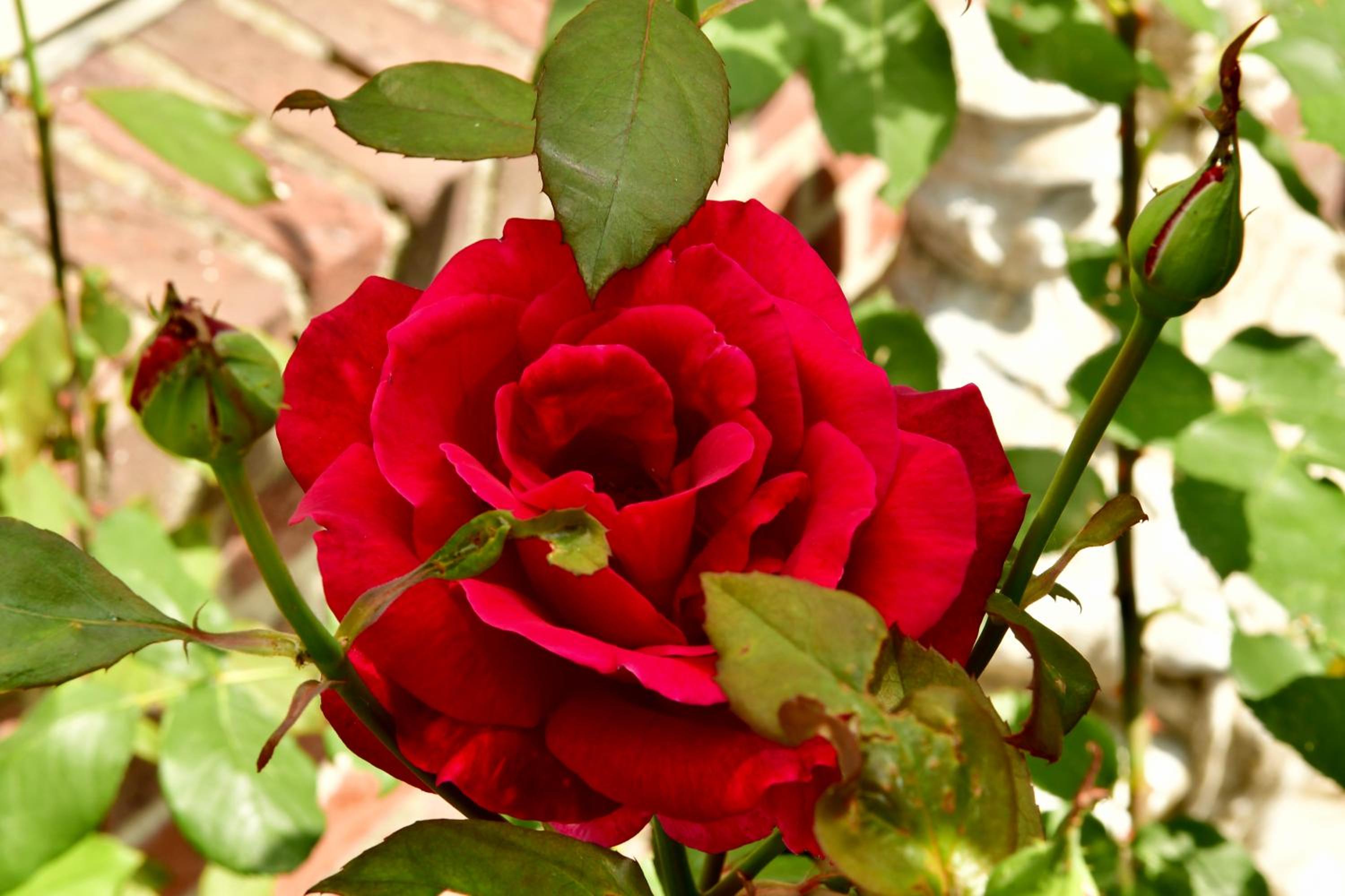 Photo 20