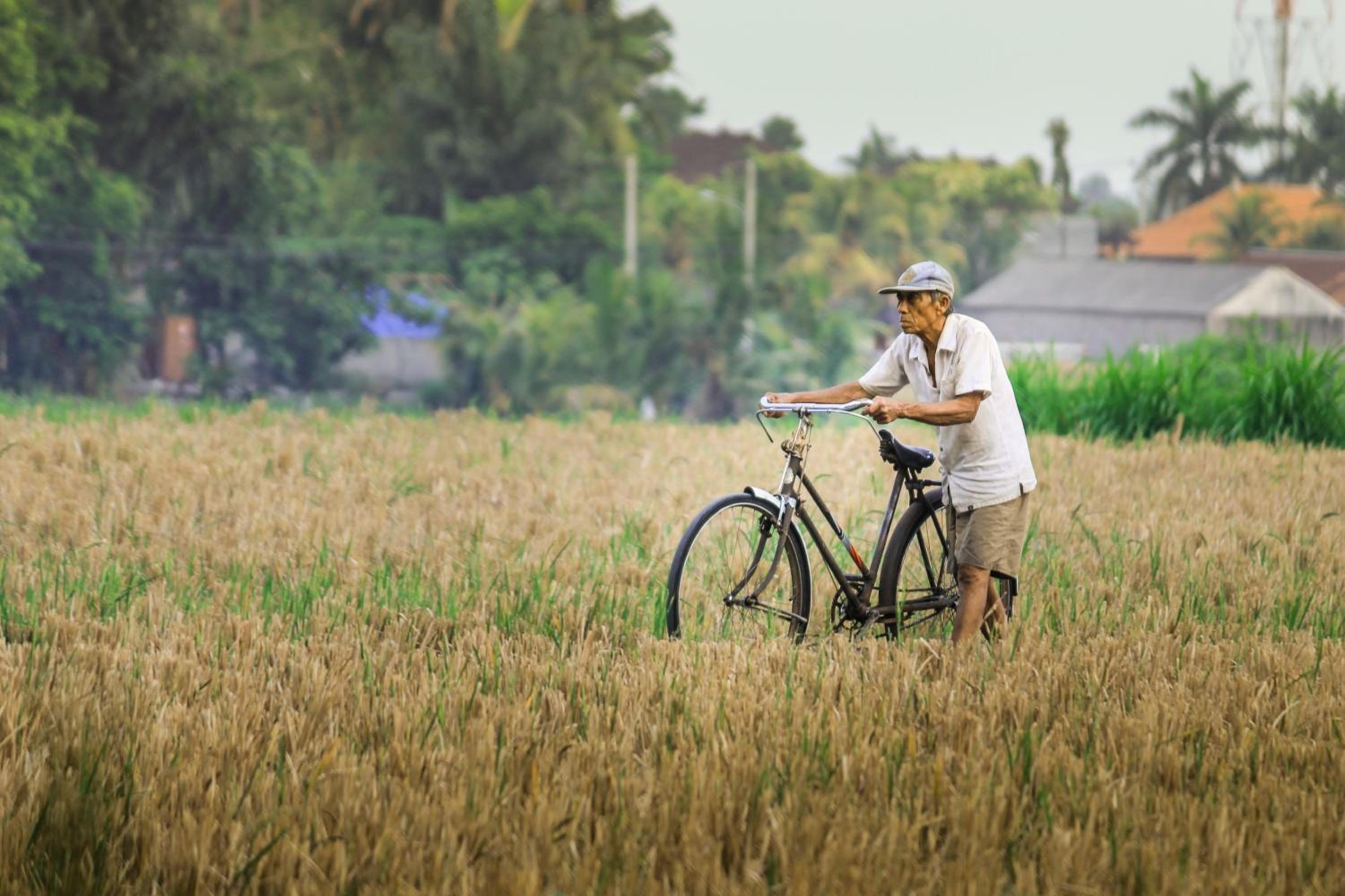 Umasari Rice Terrace Villa by AGATA view 4