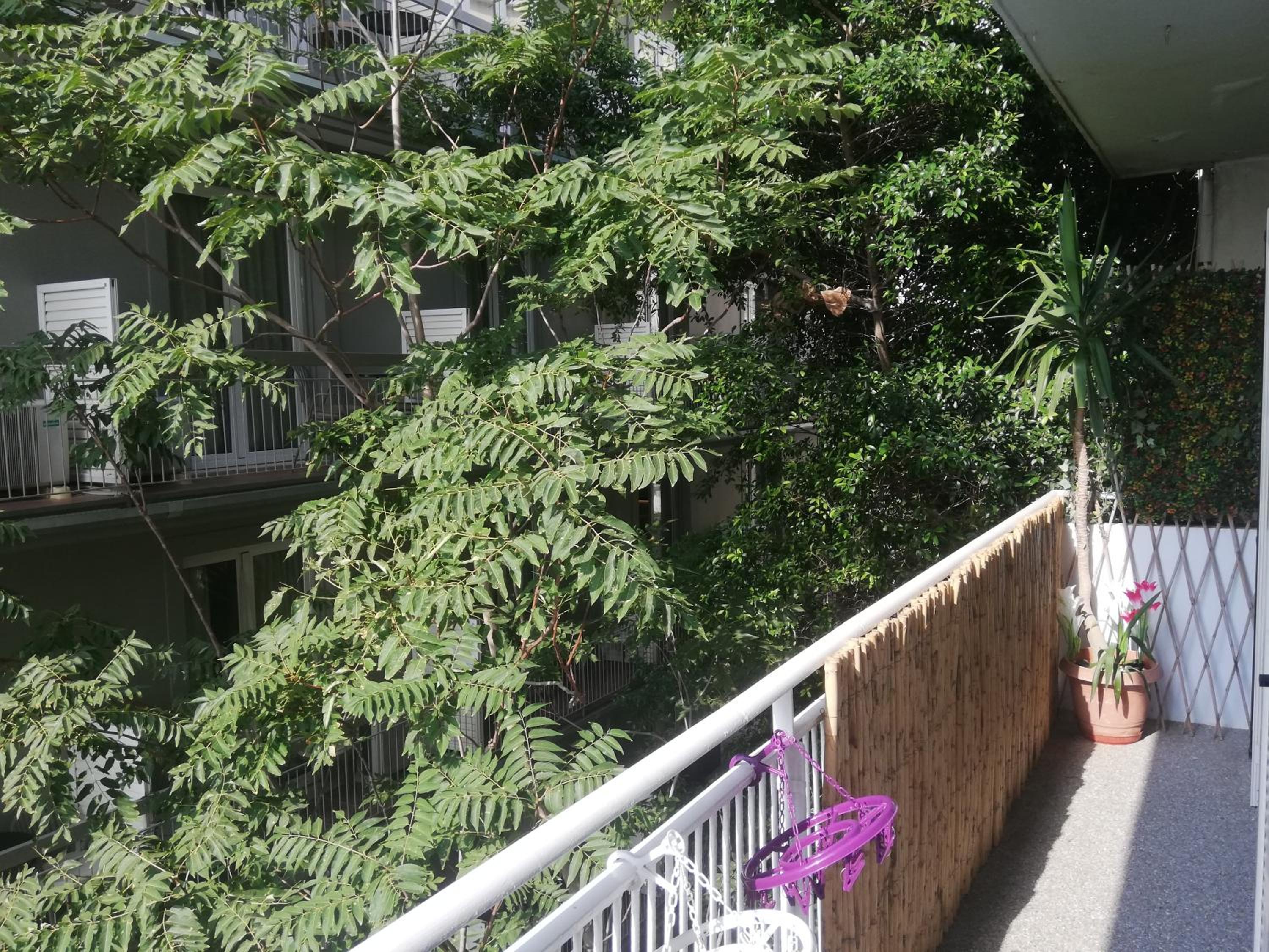 Athens Riviera apt with seaview, 15' to Acropolis