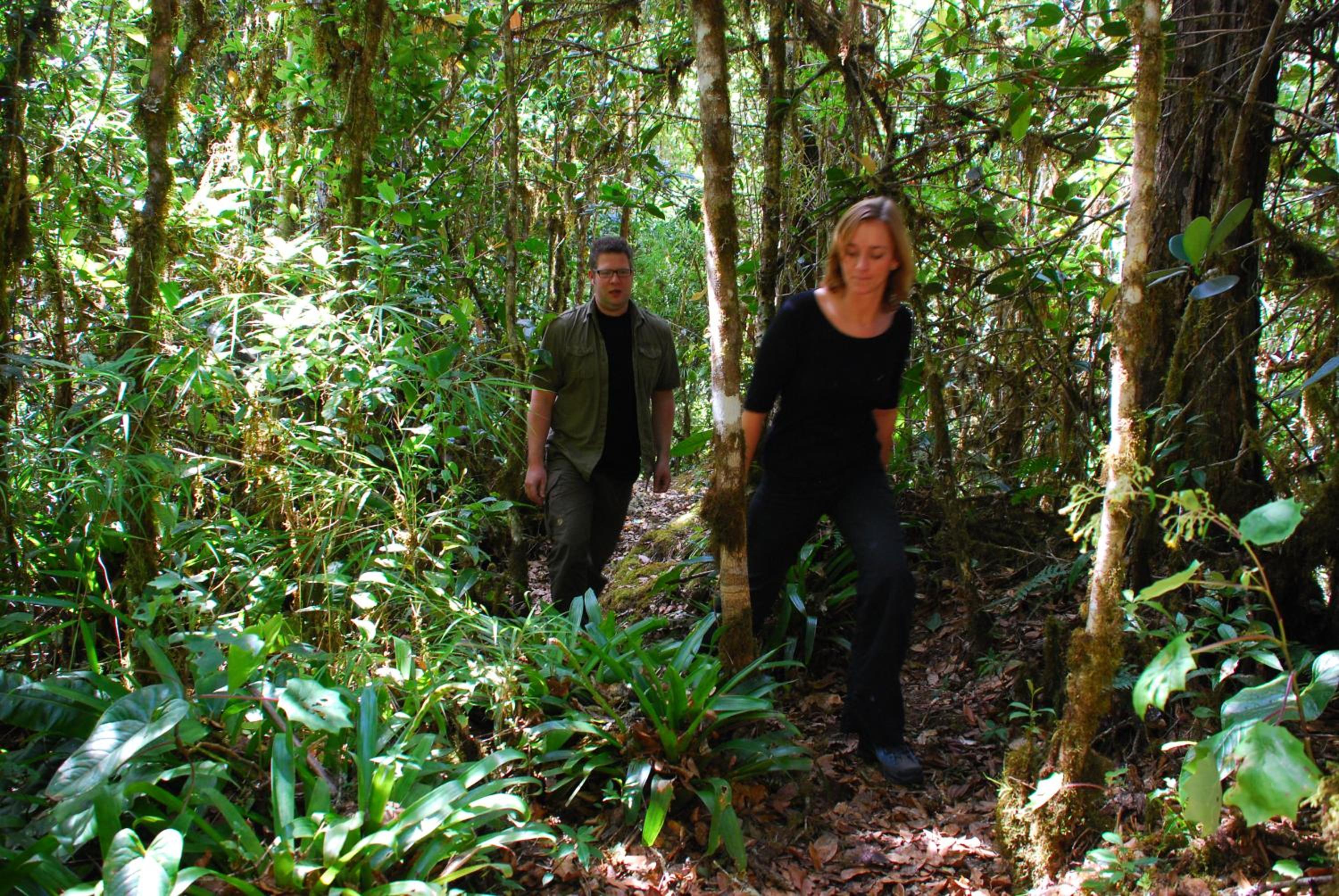 Dantica Cloud Forest Lodge
