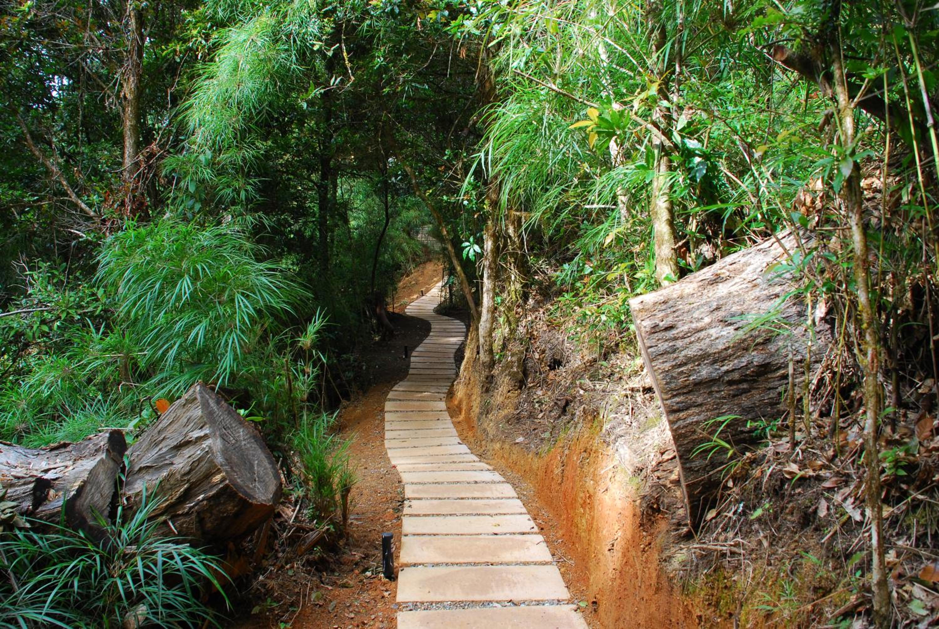 Dantica Cloud Forest Lodge