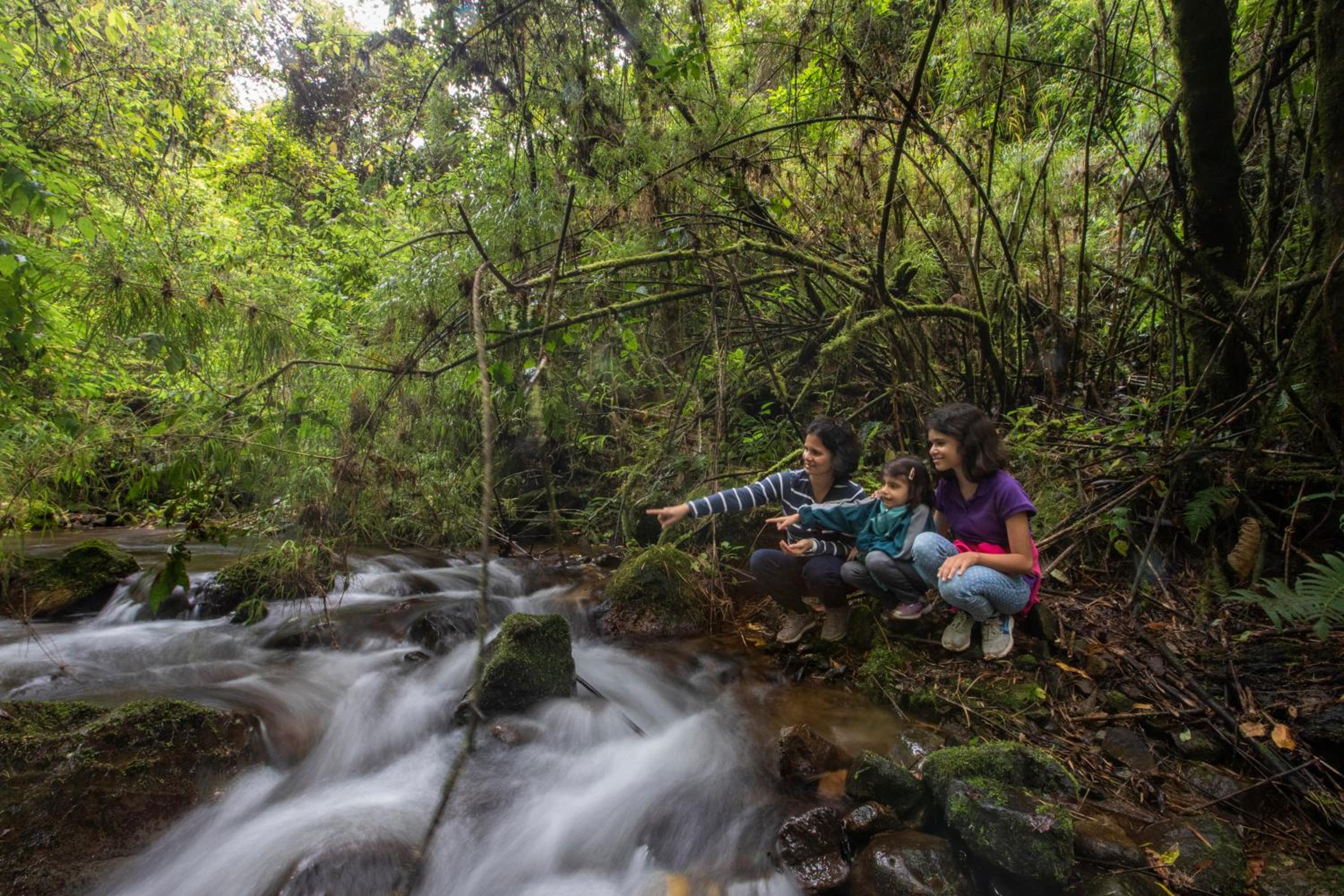 Dantica Cloud Forest Lodge
