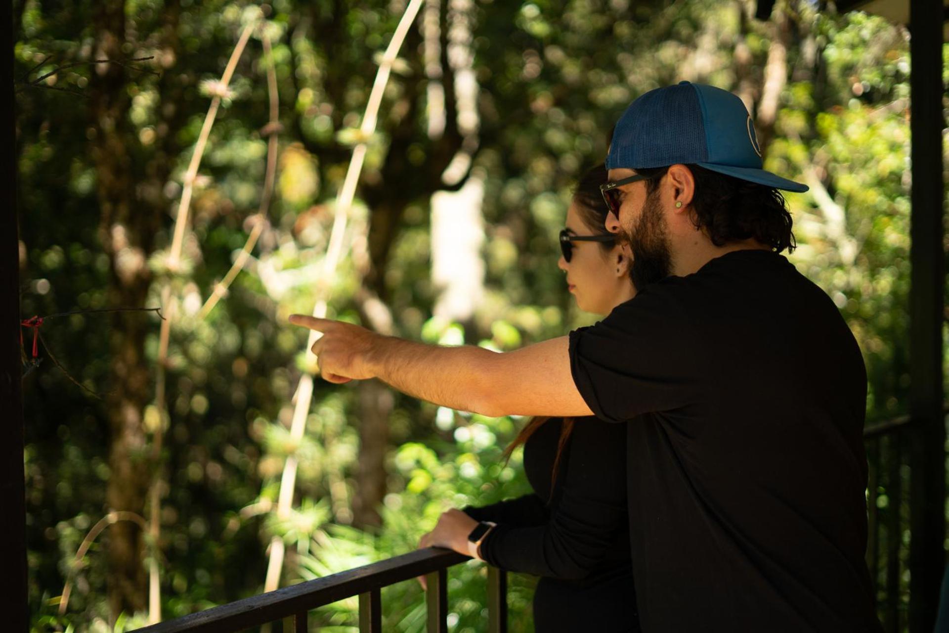 Dantica Cloud Forest Lodge