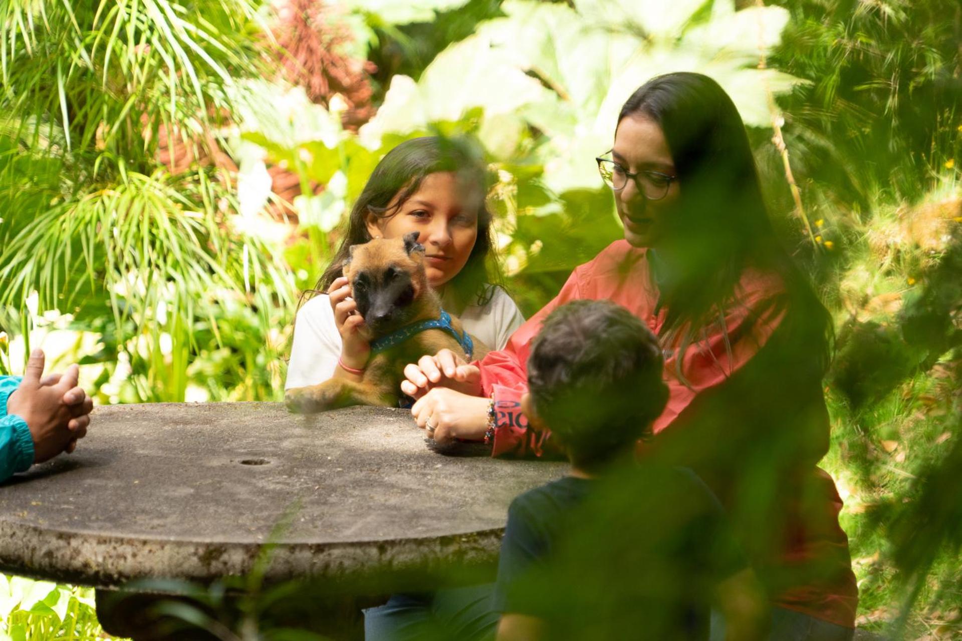 Dantica Cloud Forest Lodge