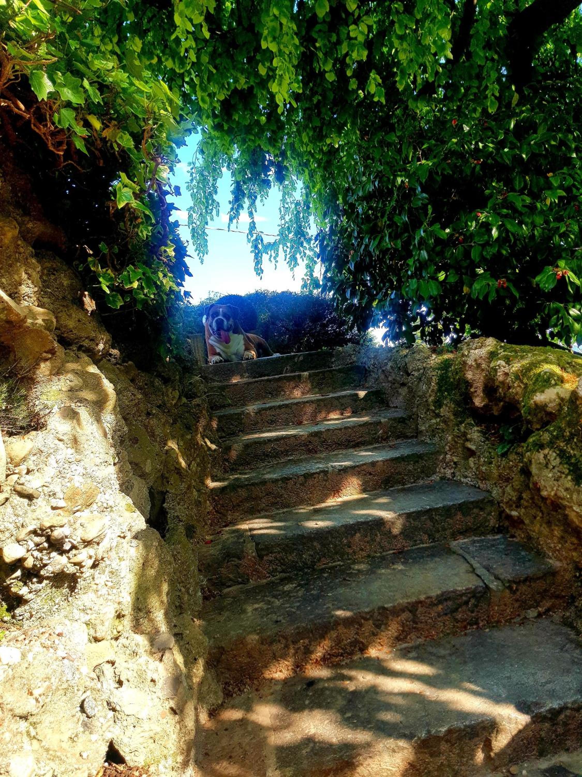 Photo 13