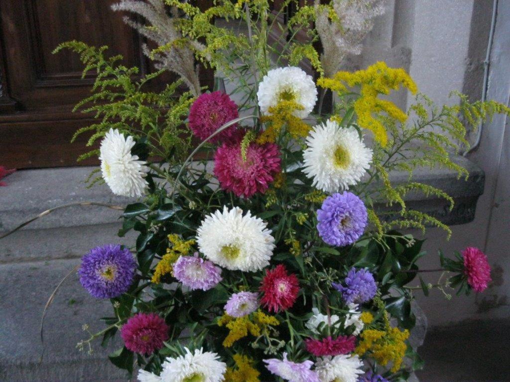 Photo 29