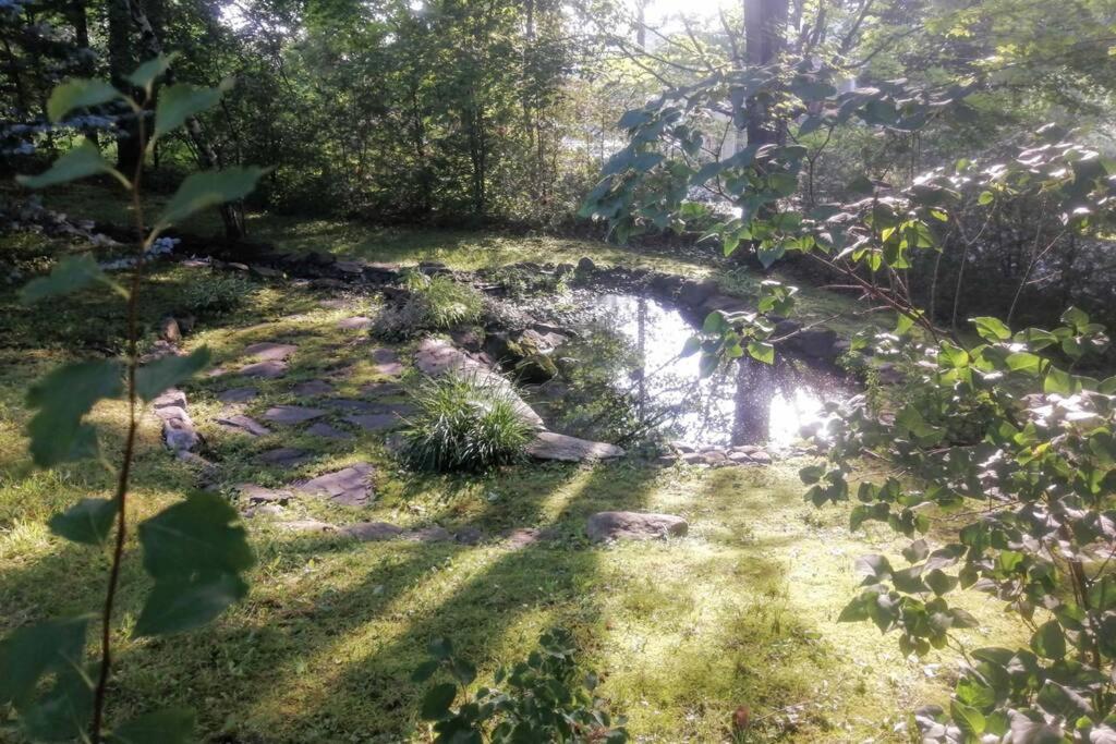 L'Alcôve des Céramistes