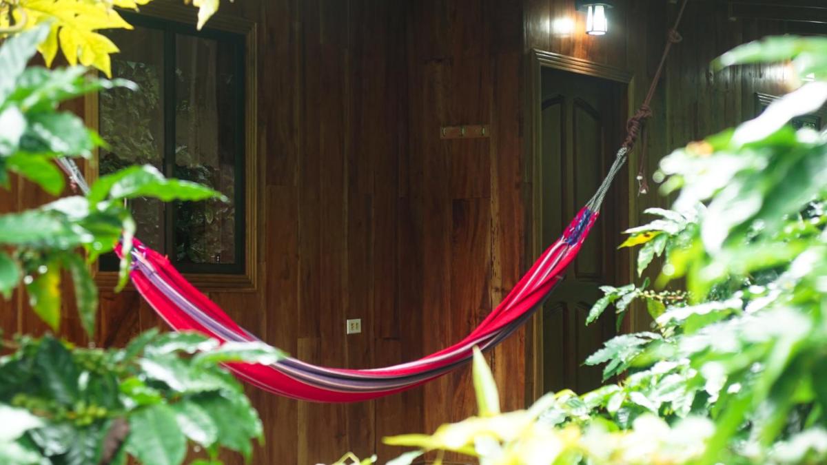 Monte Santo Y Café