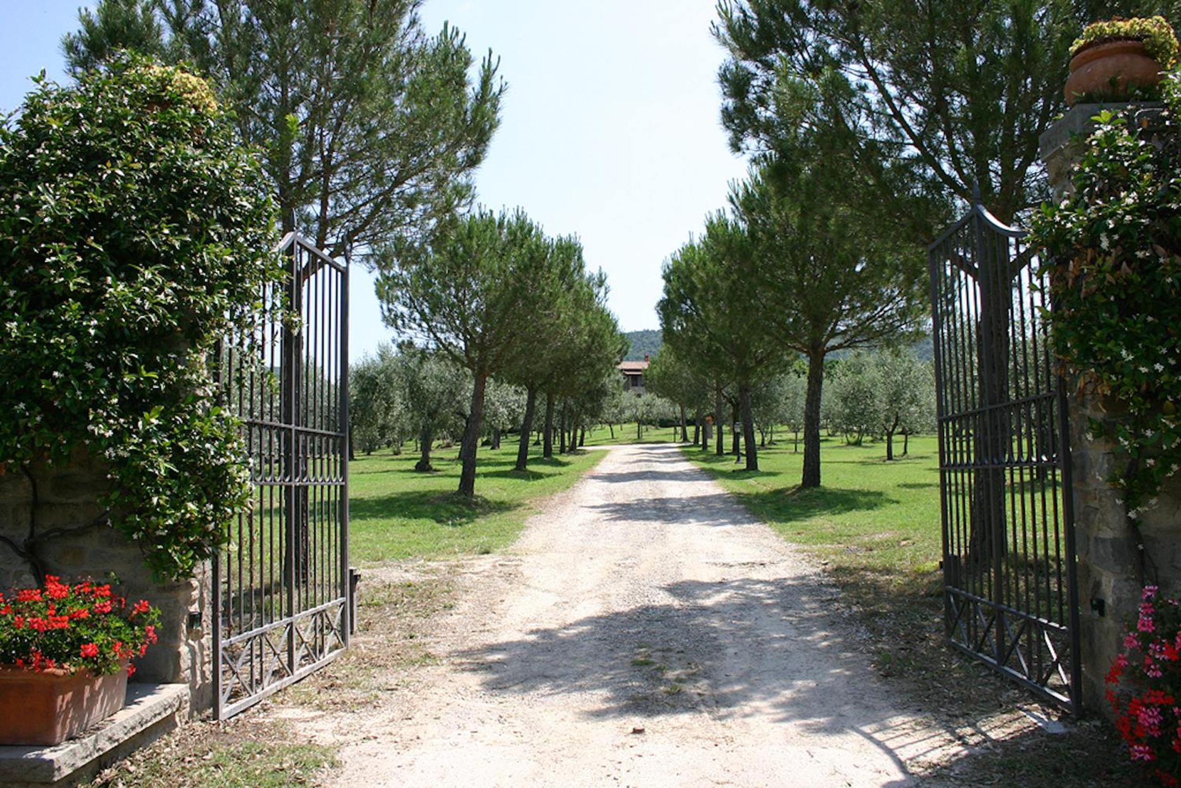 Photo 40
