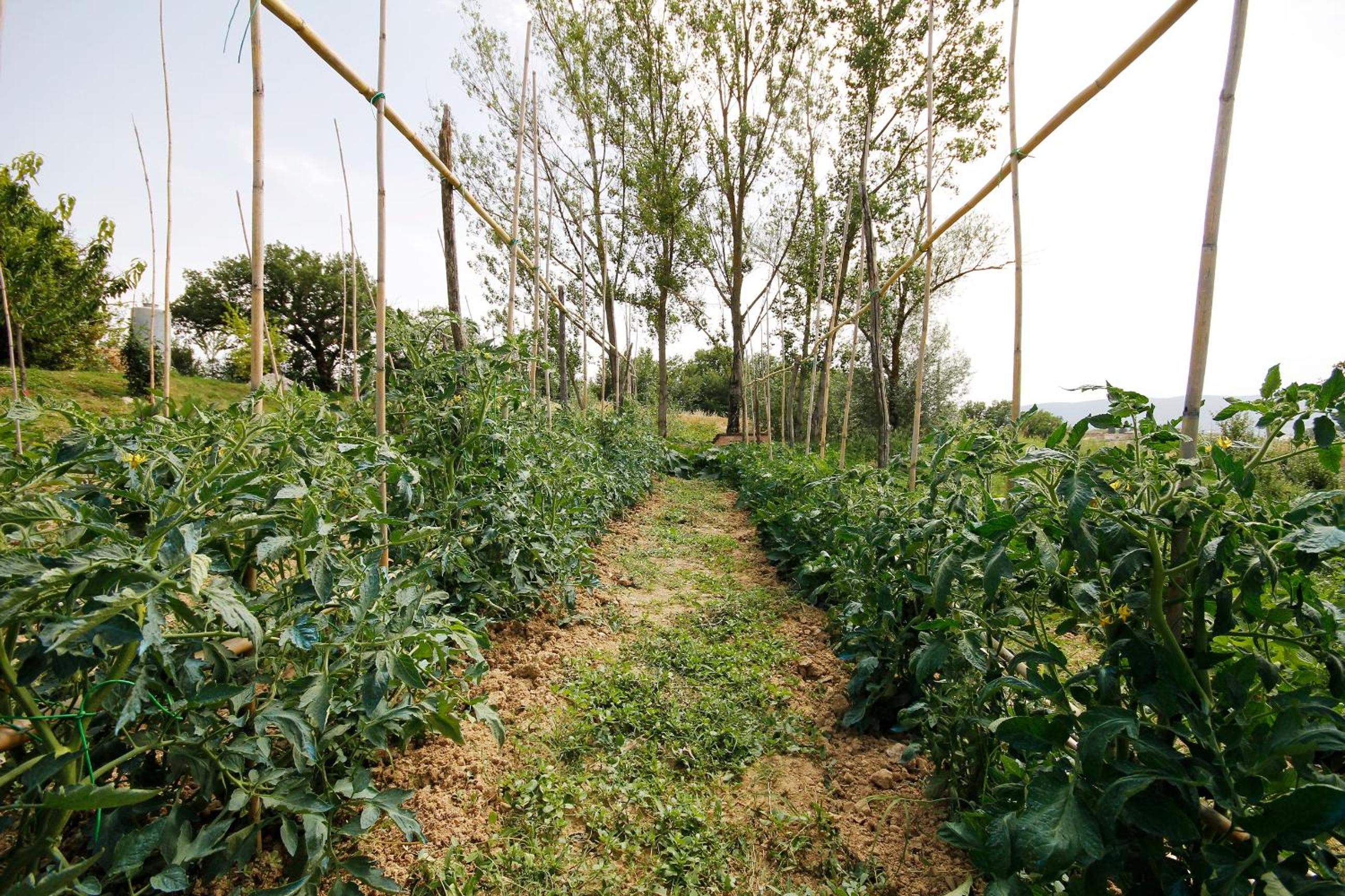 Tenuta La Santissima